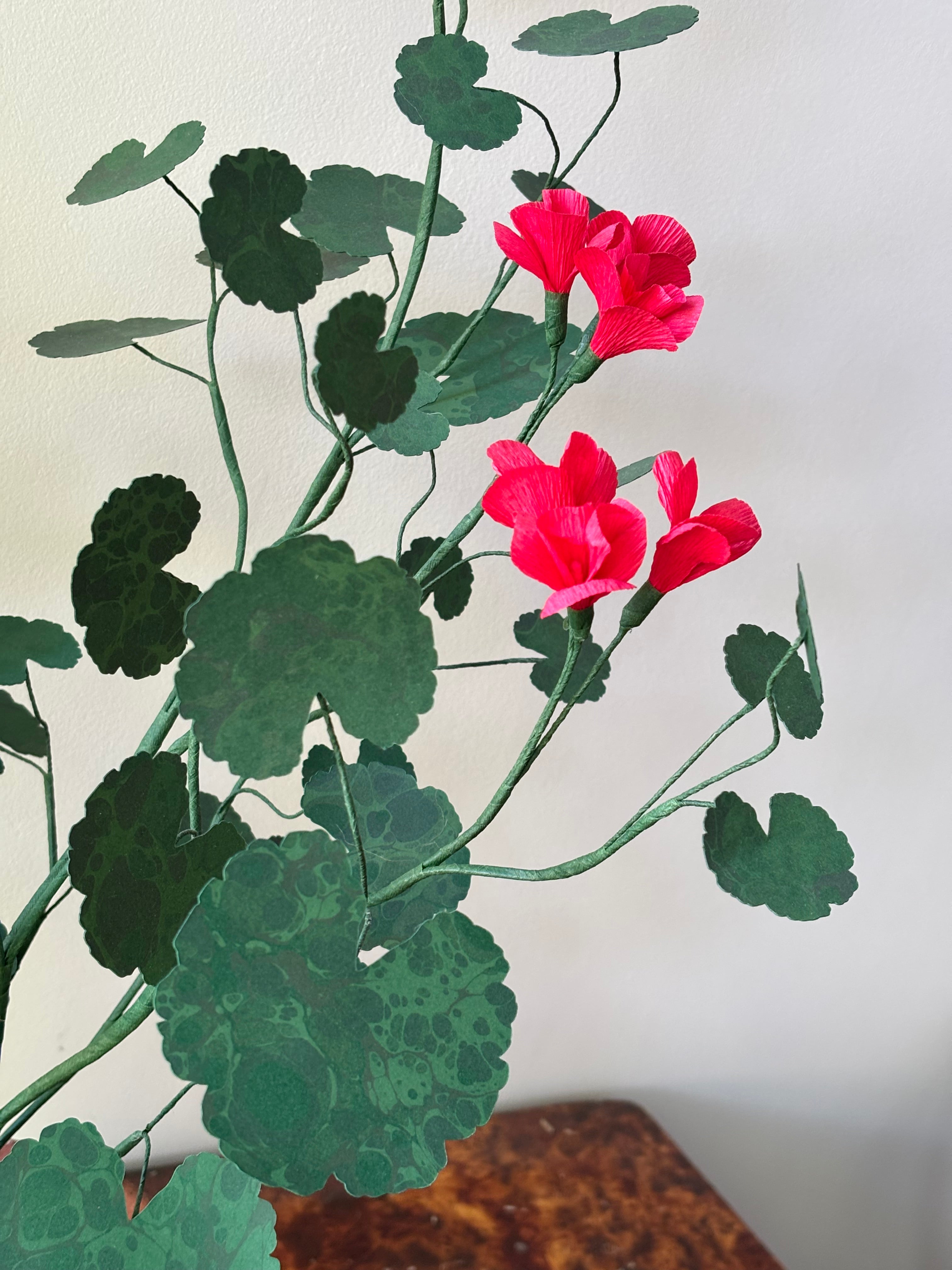 Paper Geranium