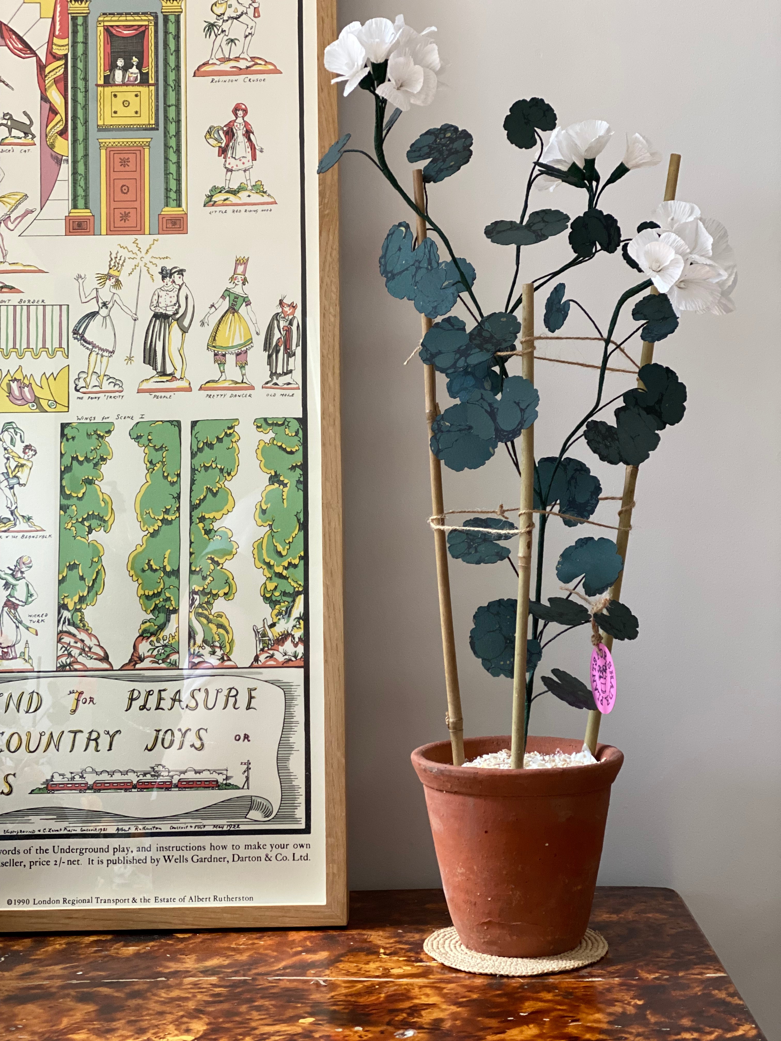 Paper Geranium