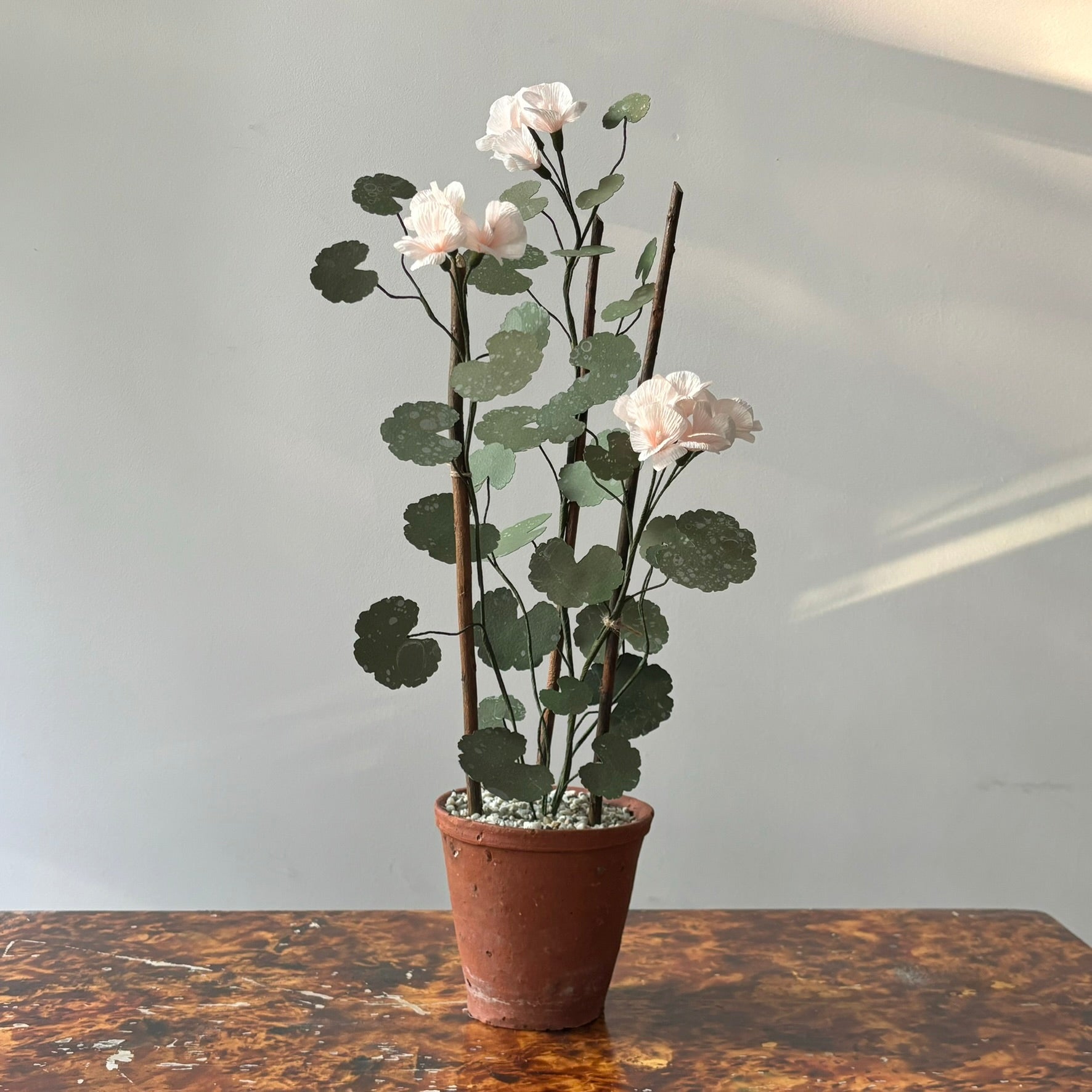 Paper Geranium