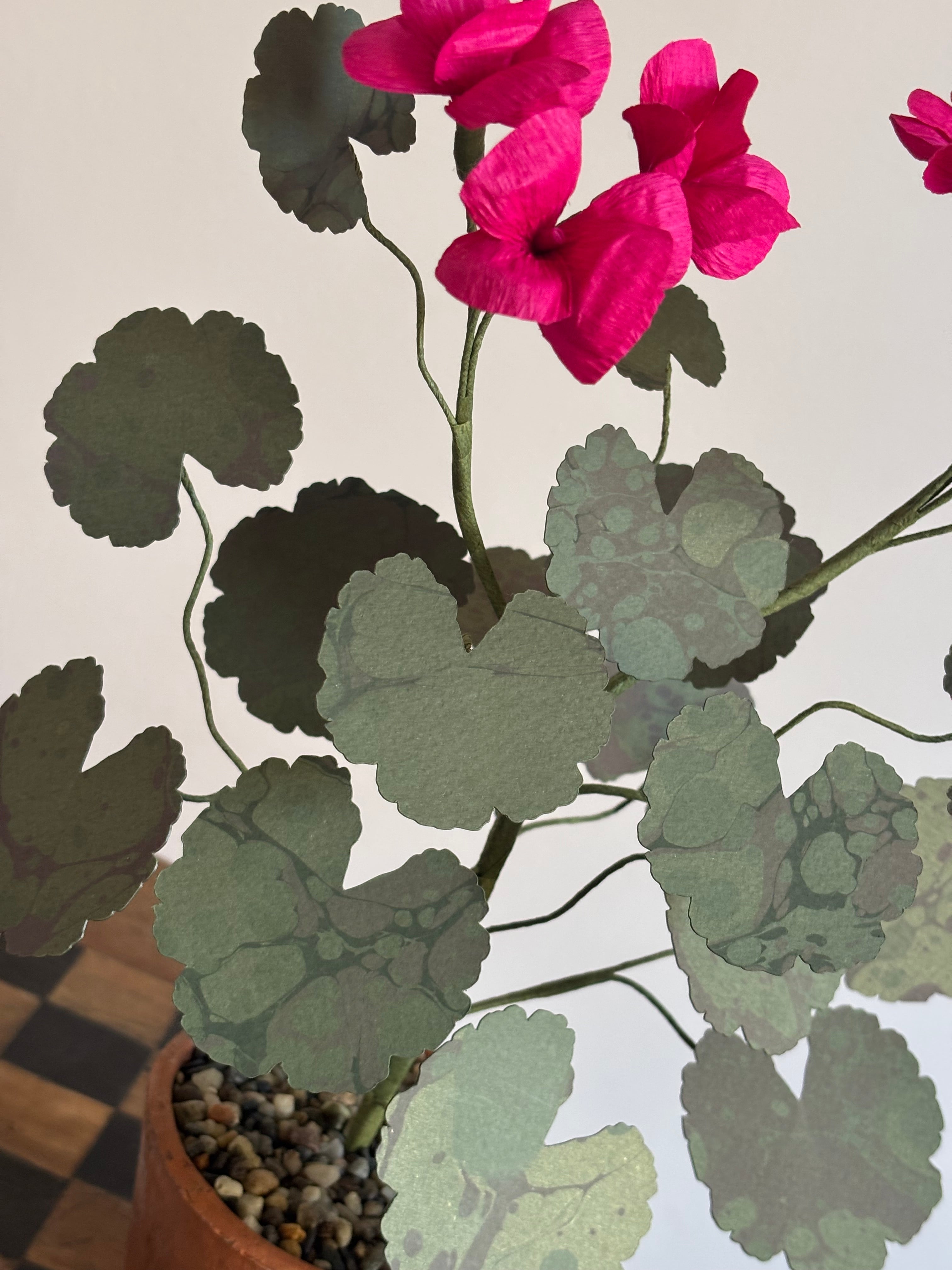 Paper Geranium