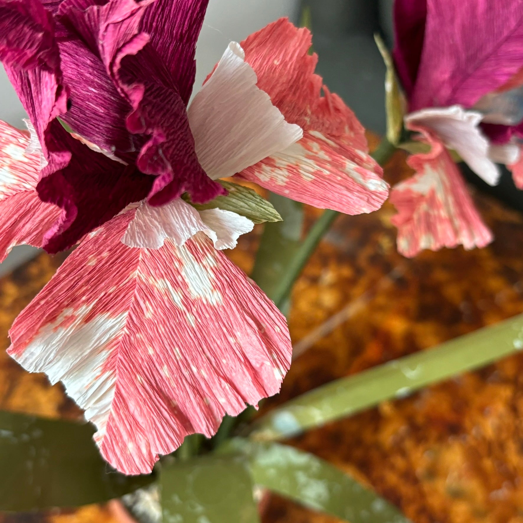 Paper Iris