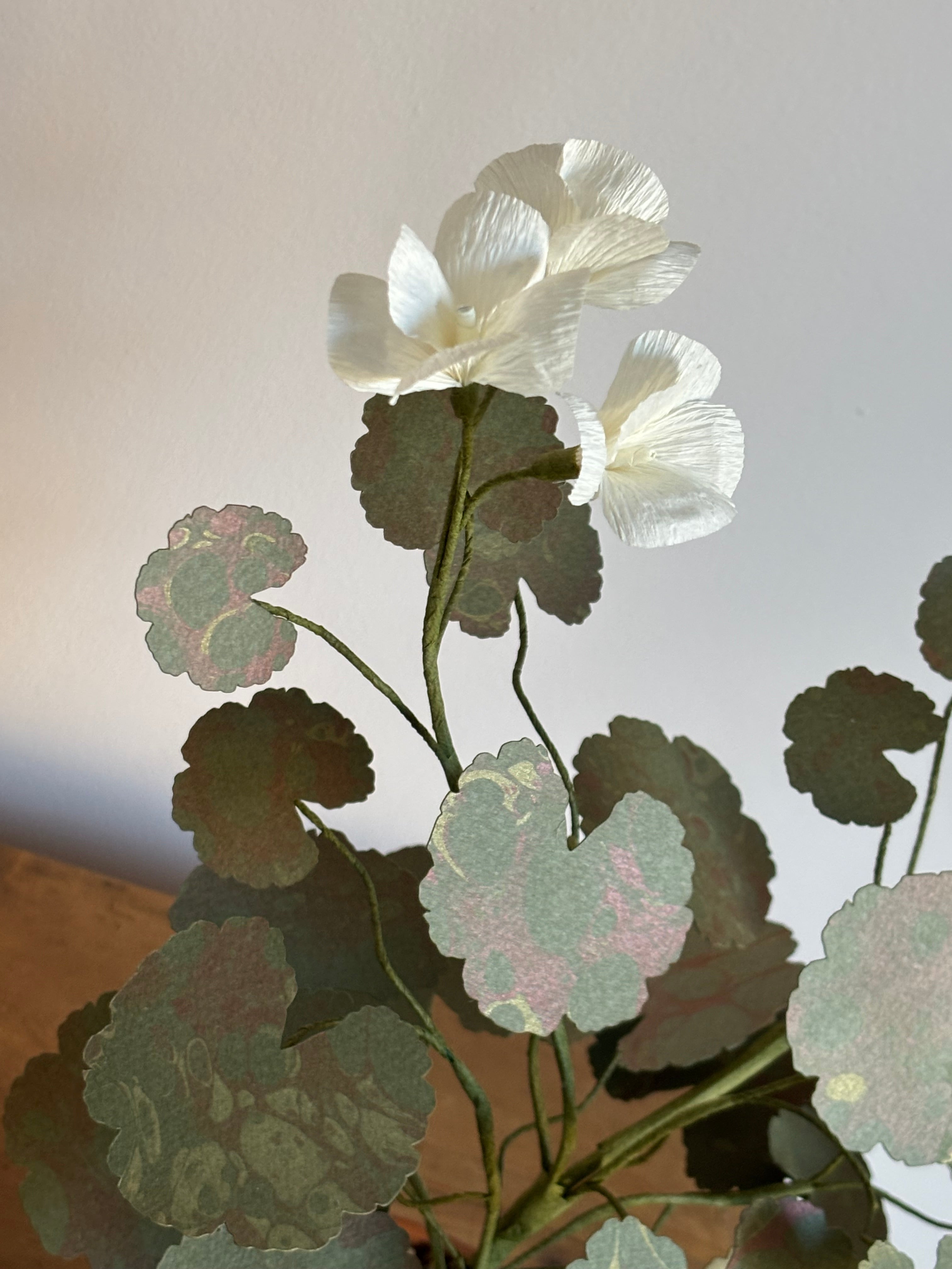 Paper Geranium