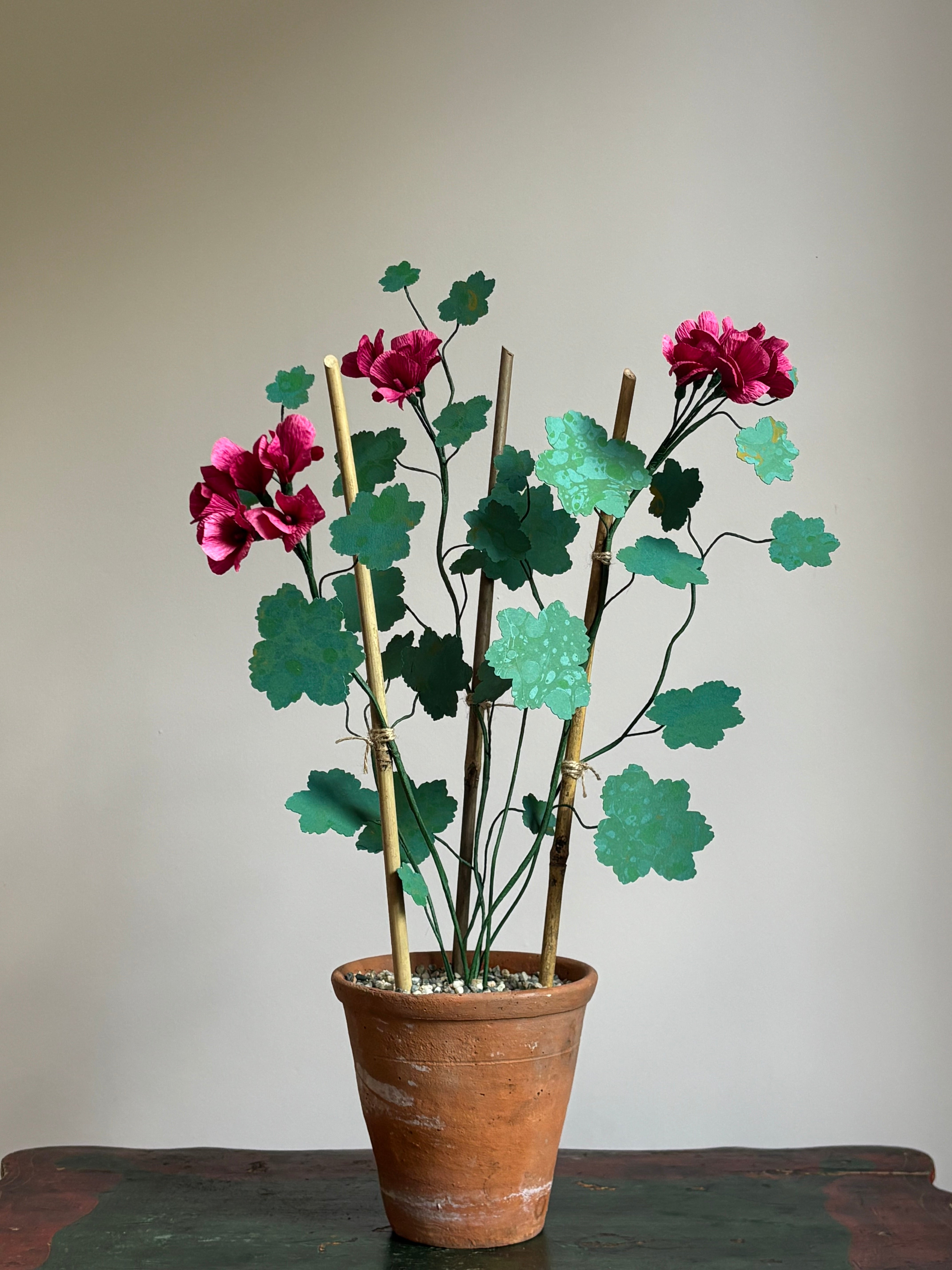 Paper Geranium