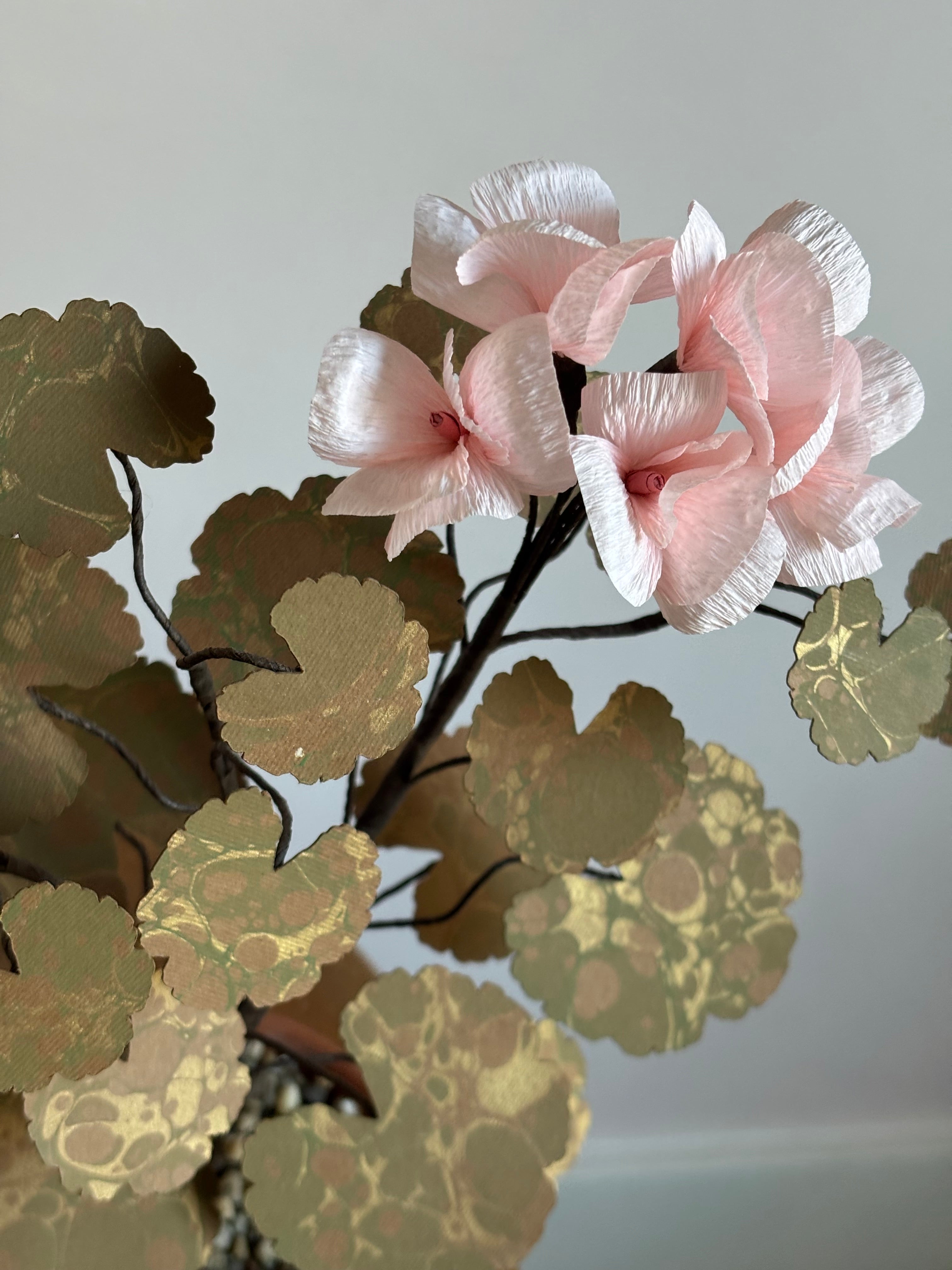 Paper Geranium