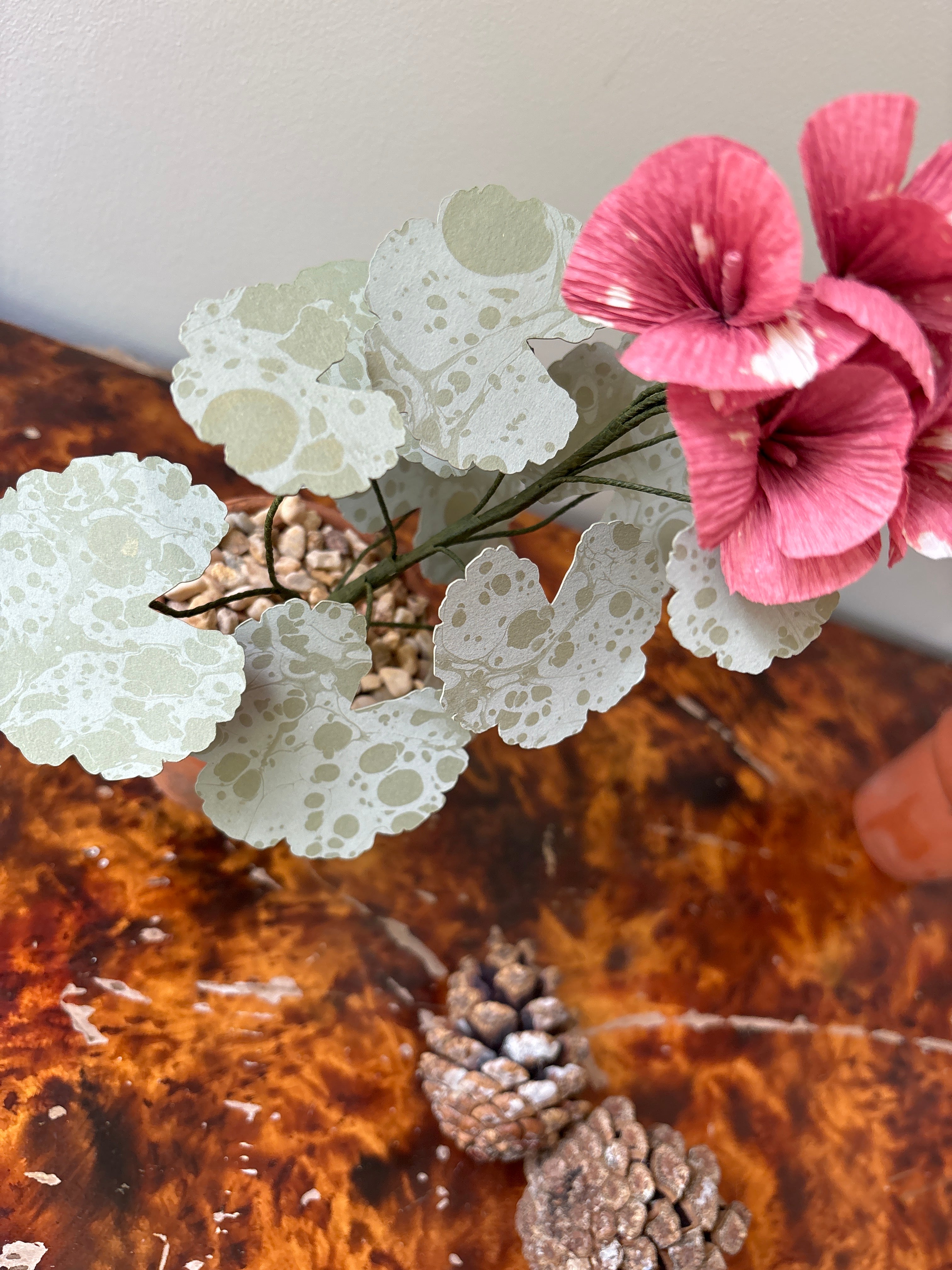 Geranium