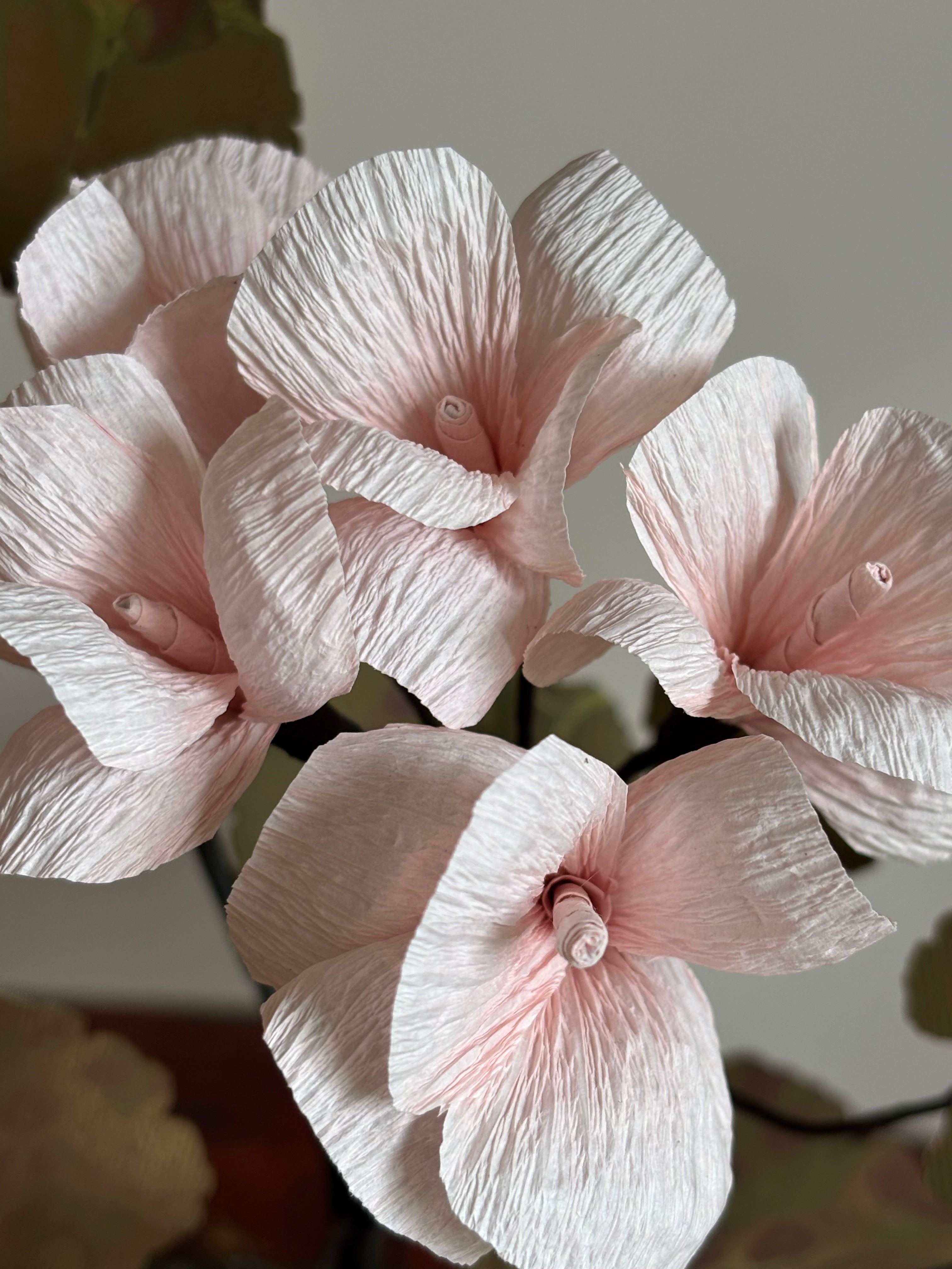 Paper Geranium