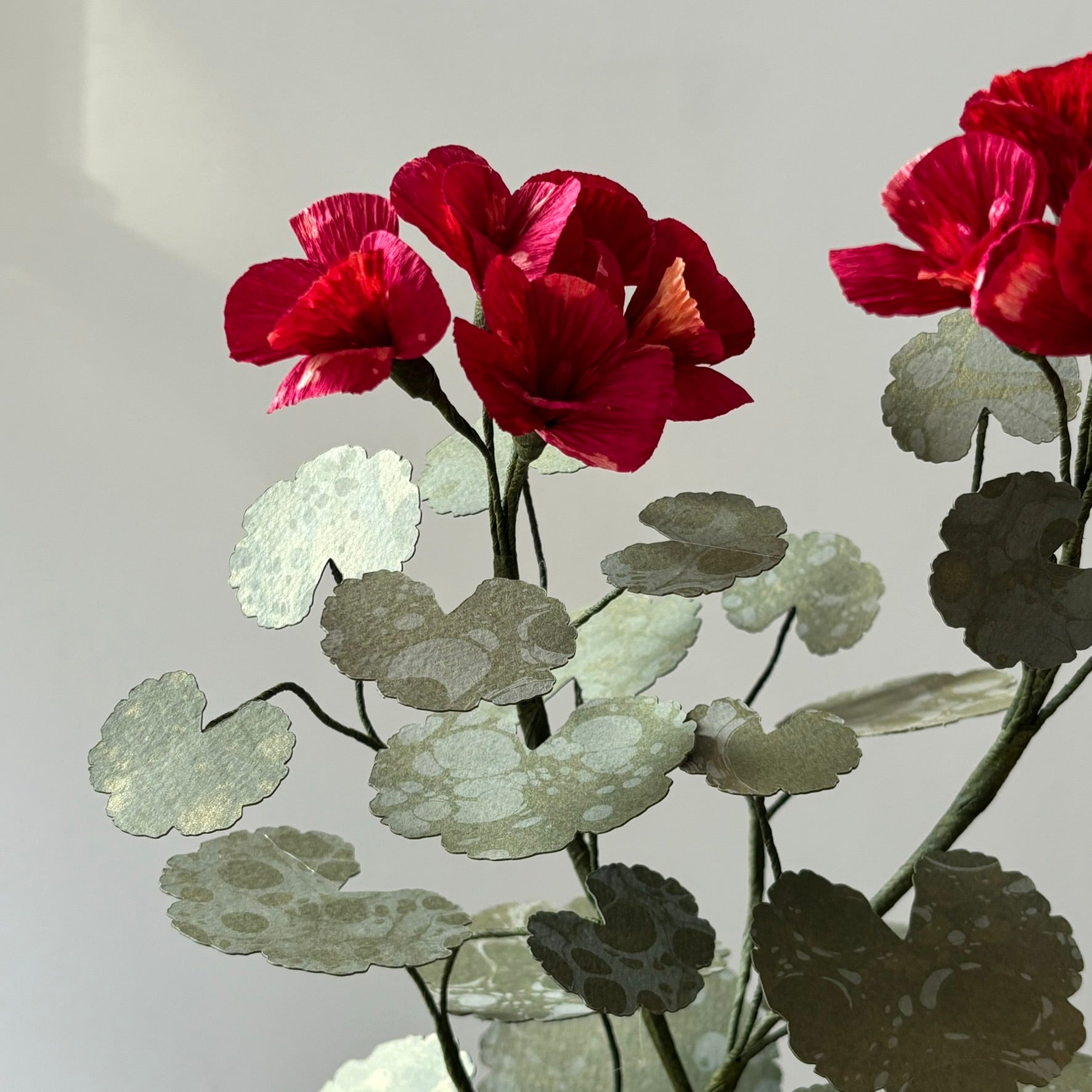 Paper Geranium