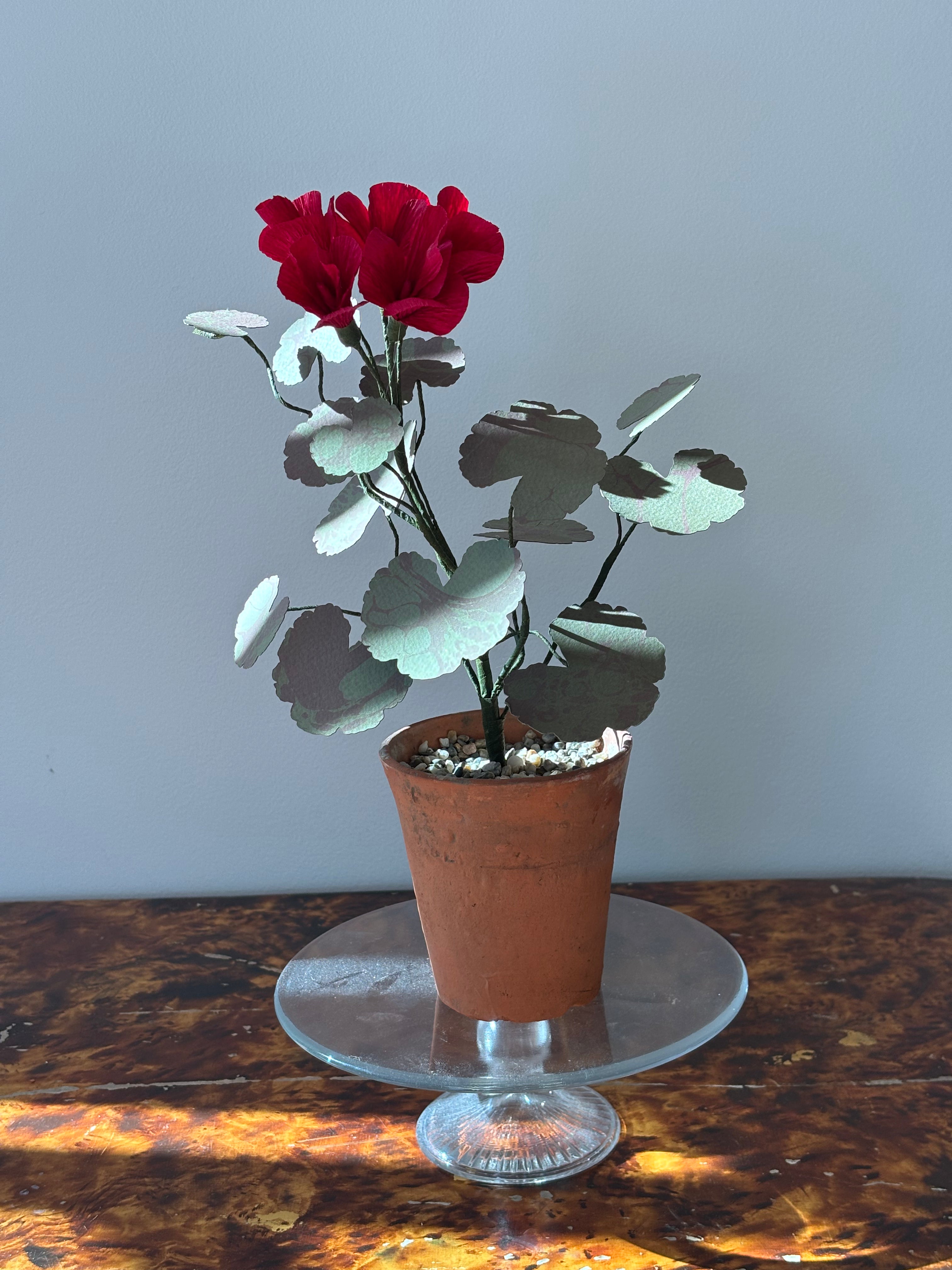 Paper Geranium