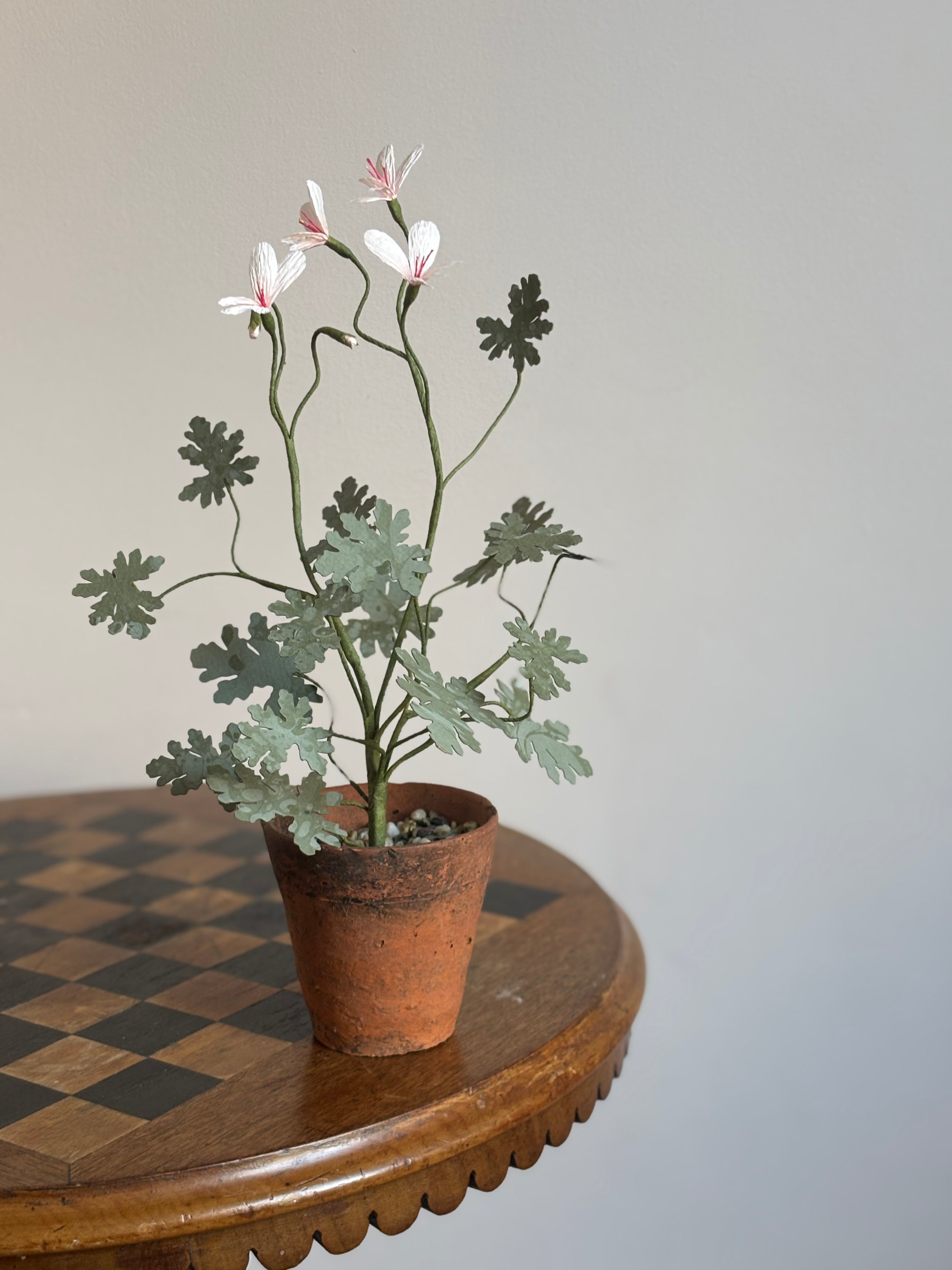 Paper Pelargonium, inspired by Pelargonium radens