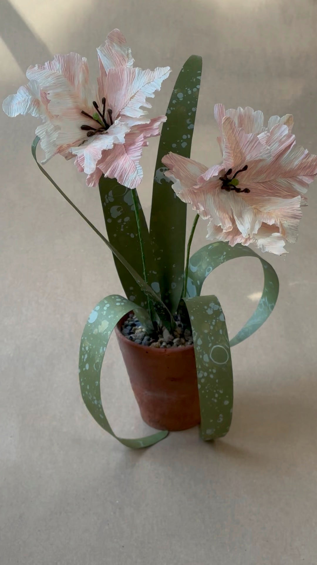 Parrot Tulip