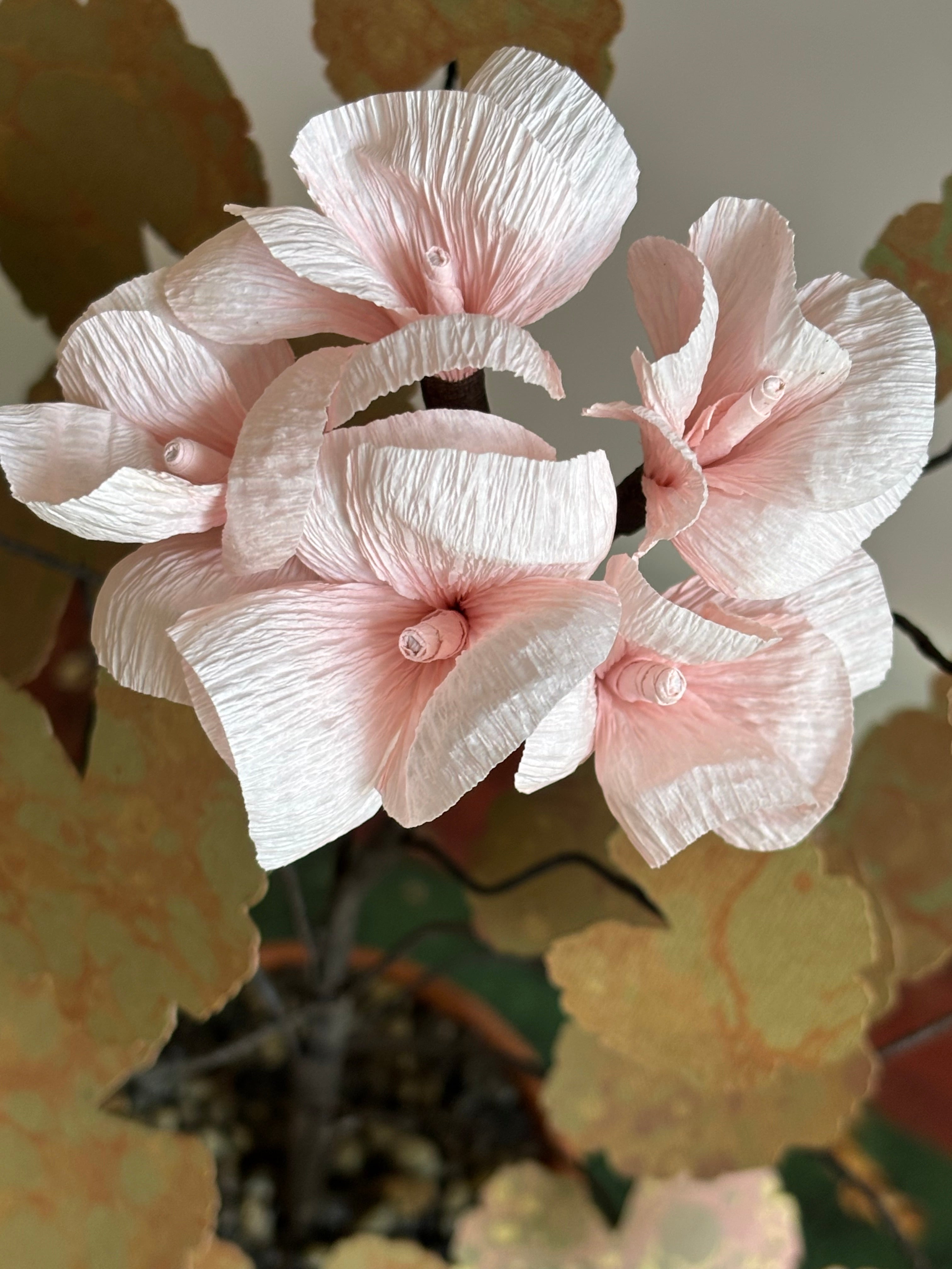 Paper Geraniums