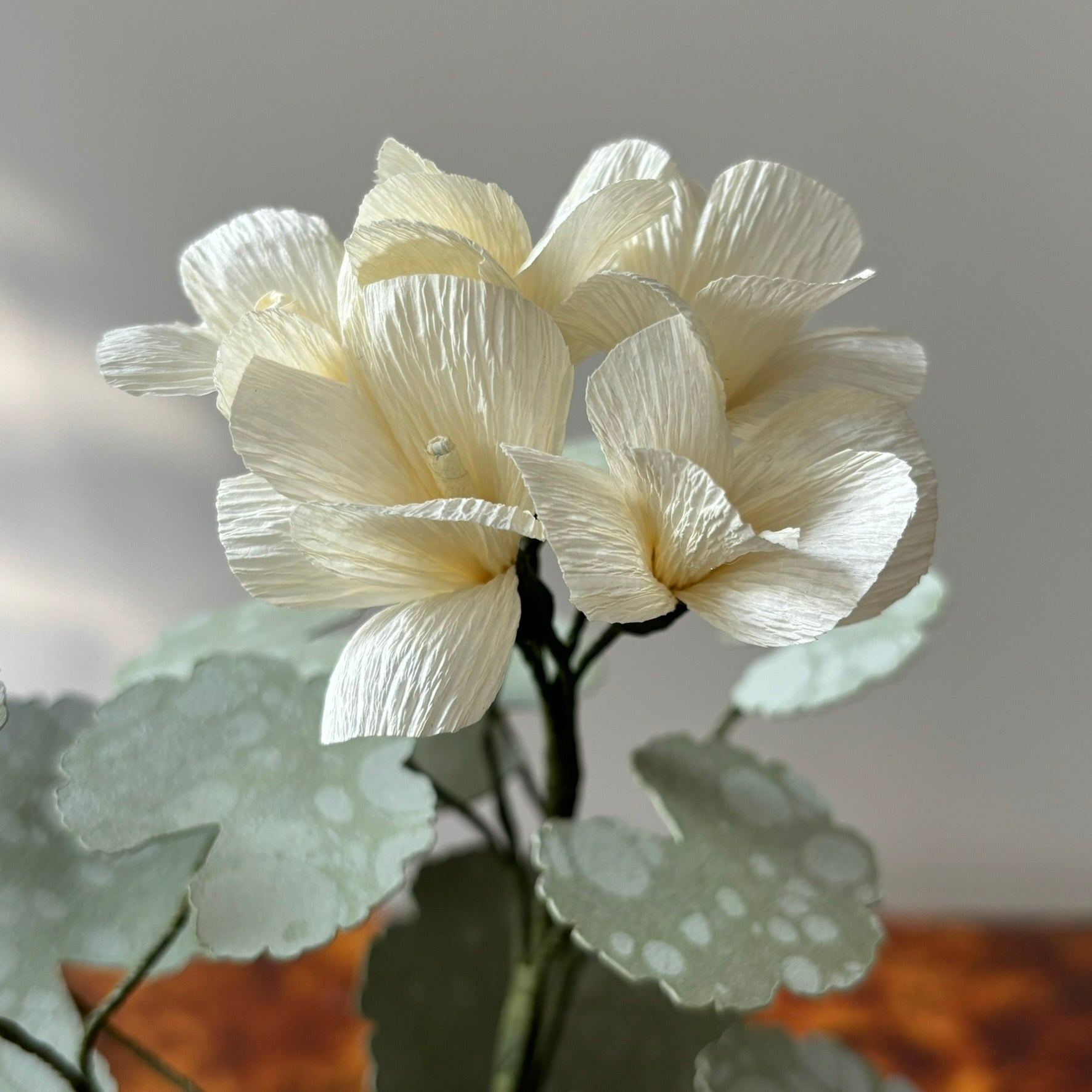 Paper Geranium