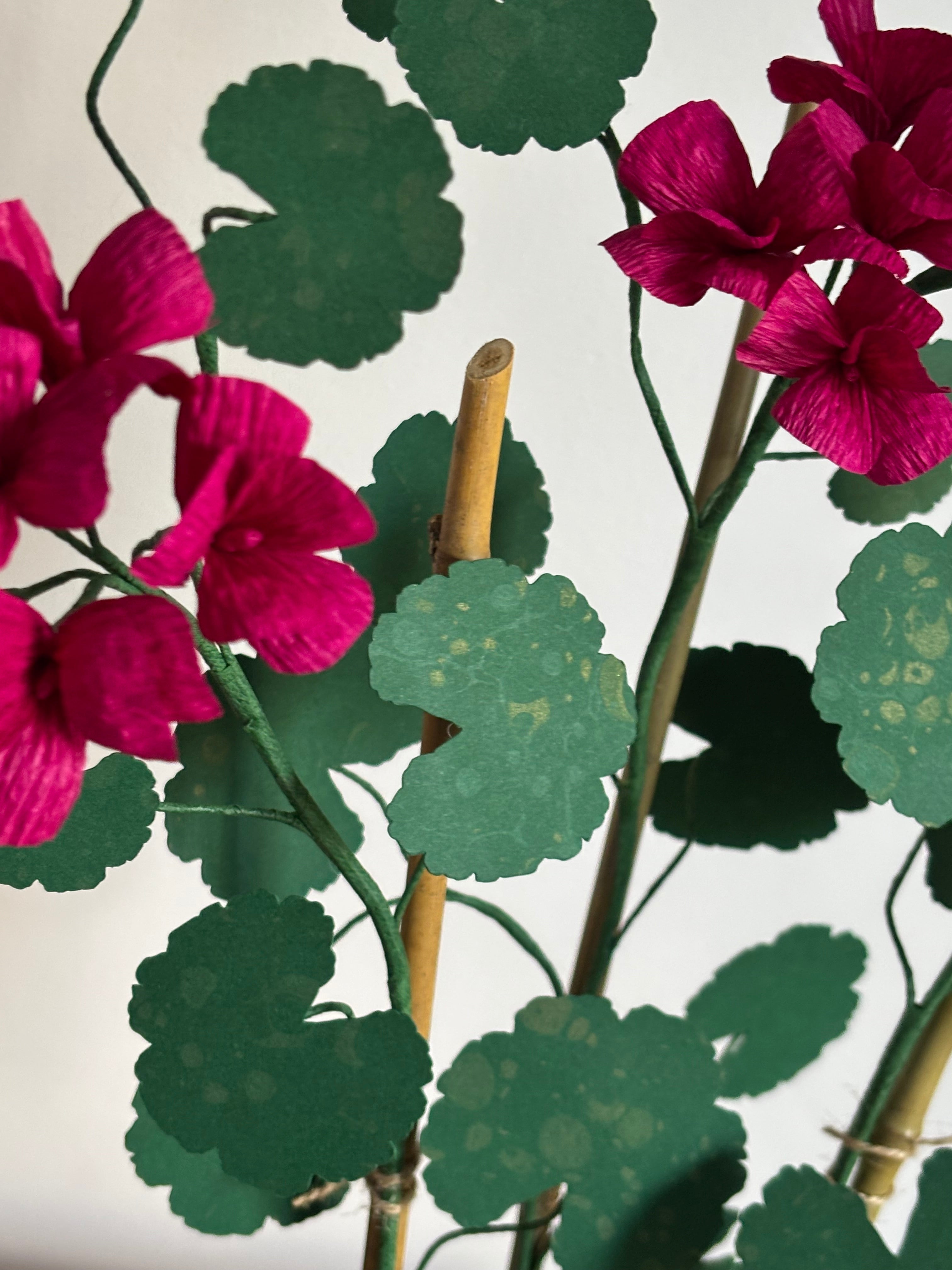 Paper Geranium