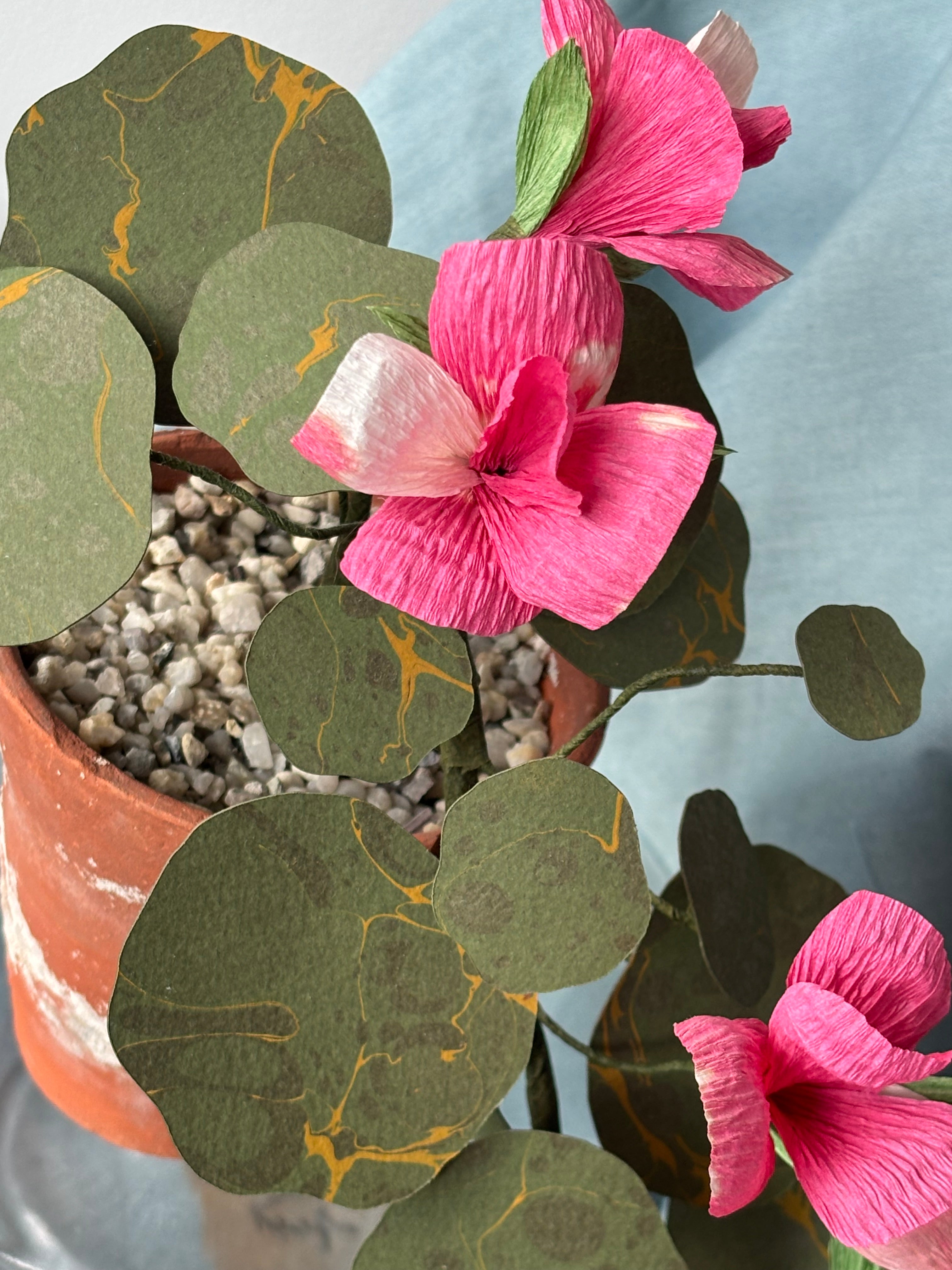 Paper Nasturtium