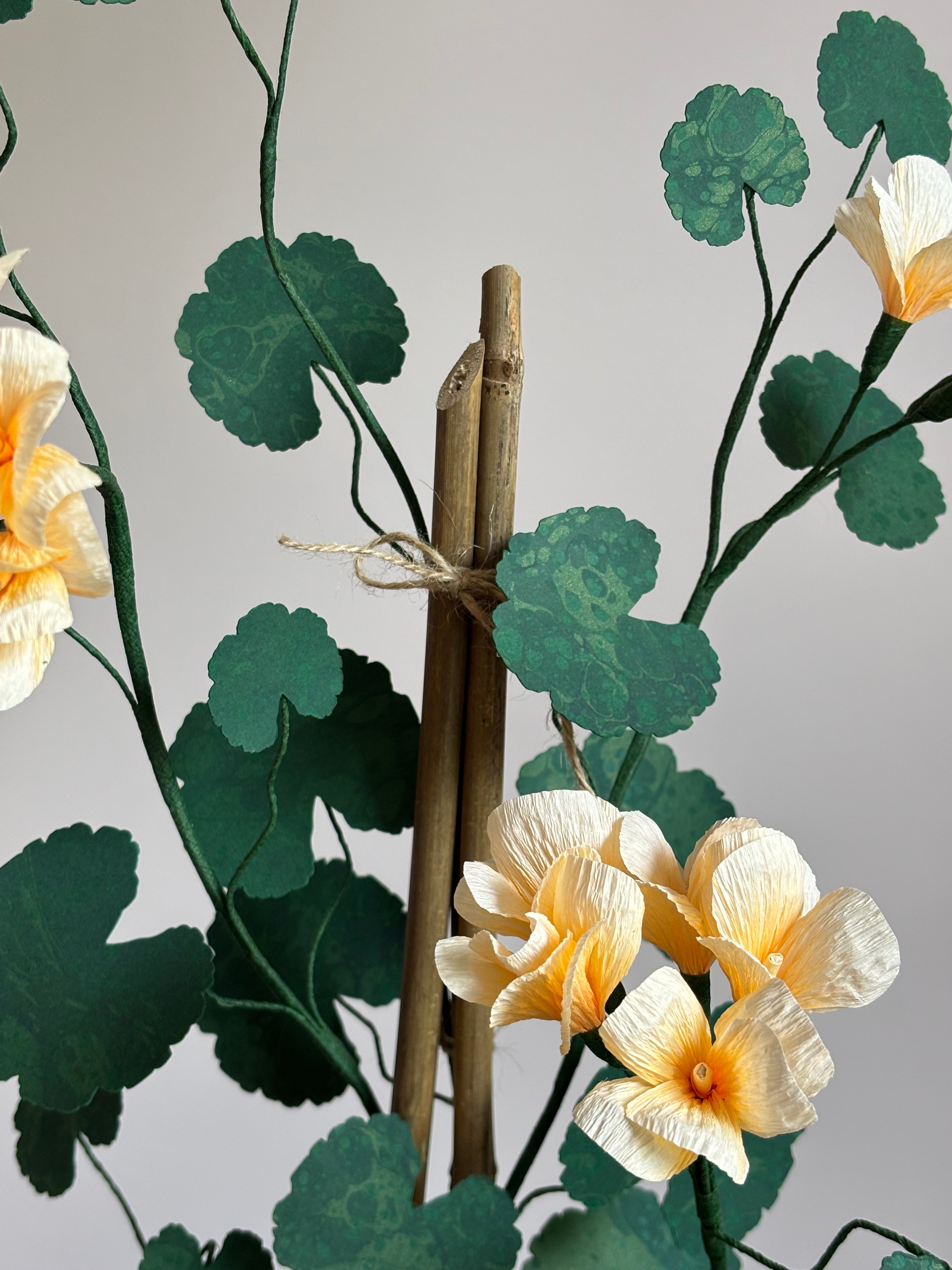 Paper Geranium