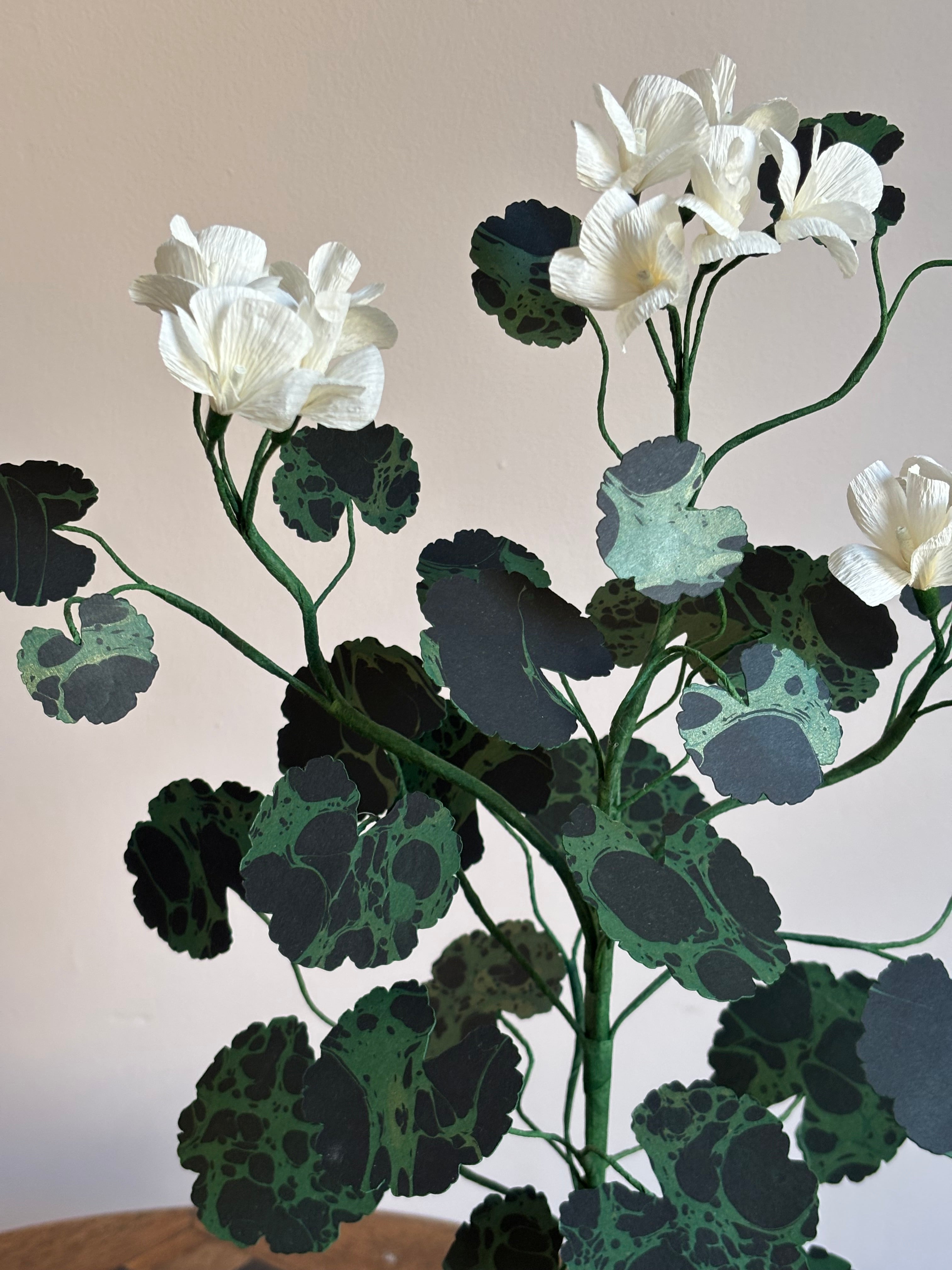 Paper Geranium