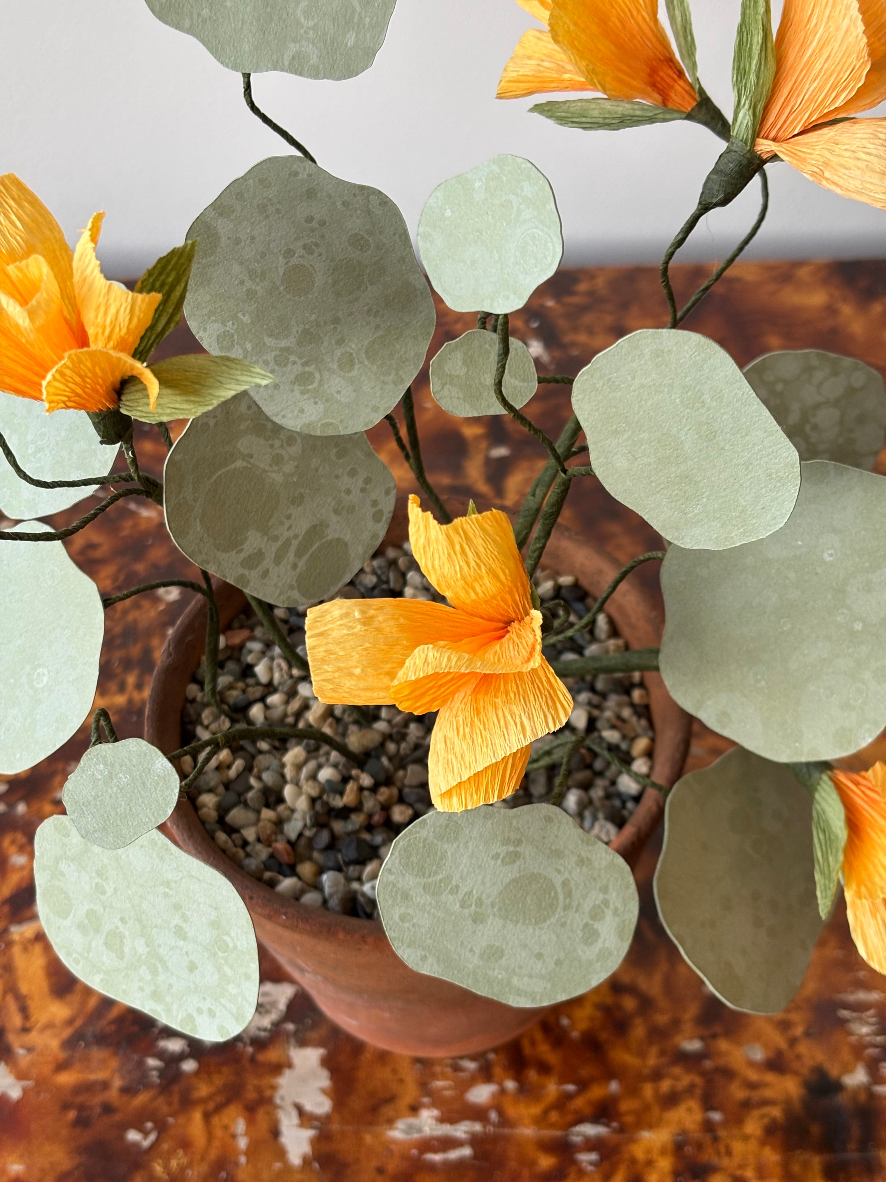 Paper Nasturtium