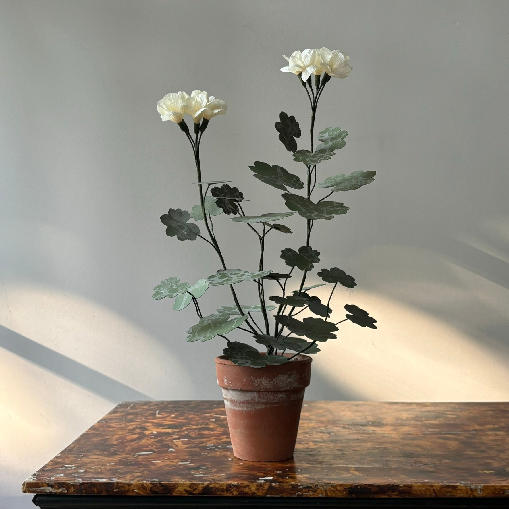 Paper Geranium