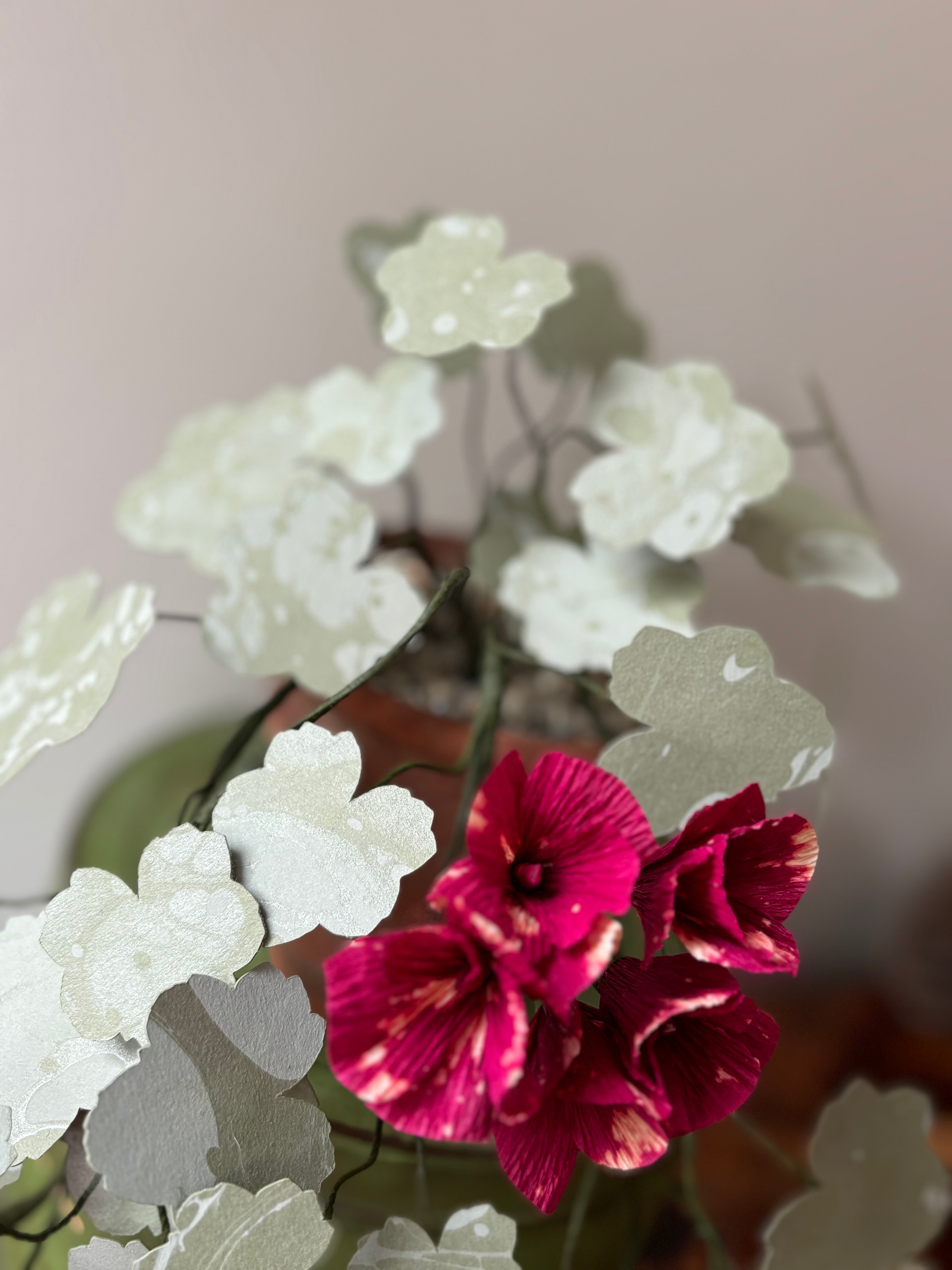 Paper trailing Geranium