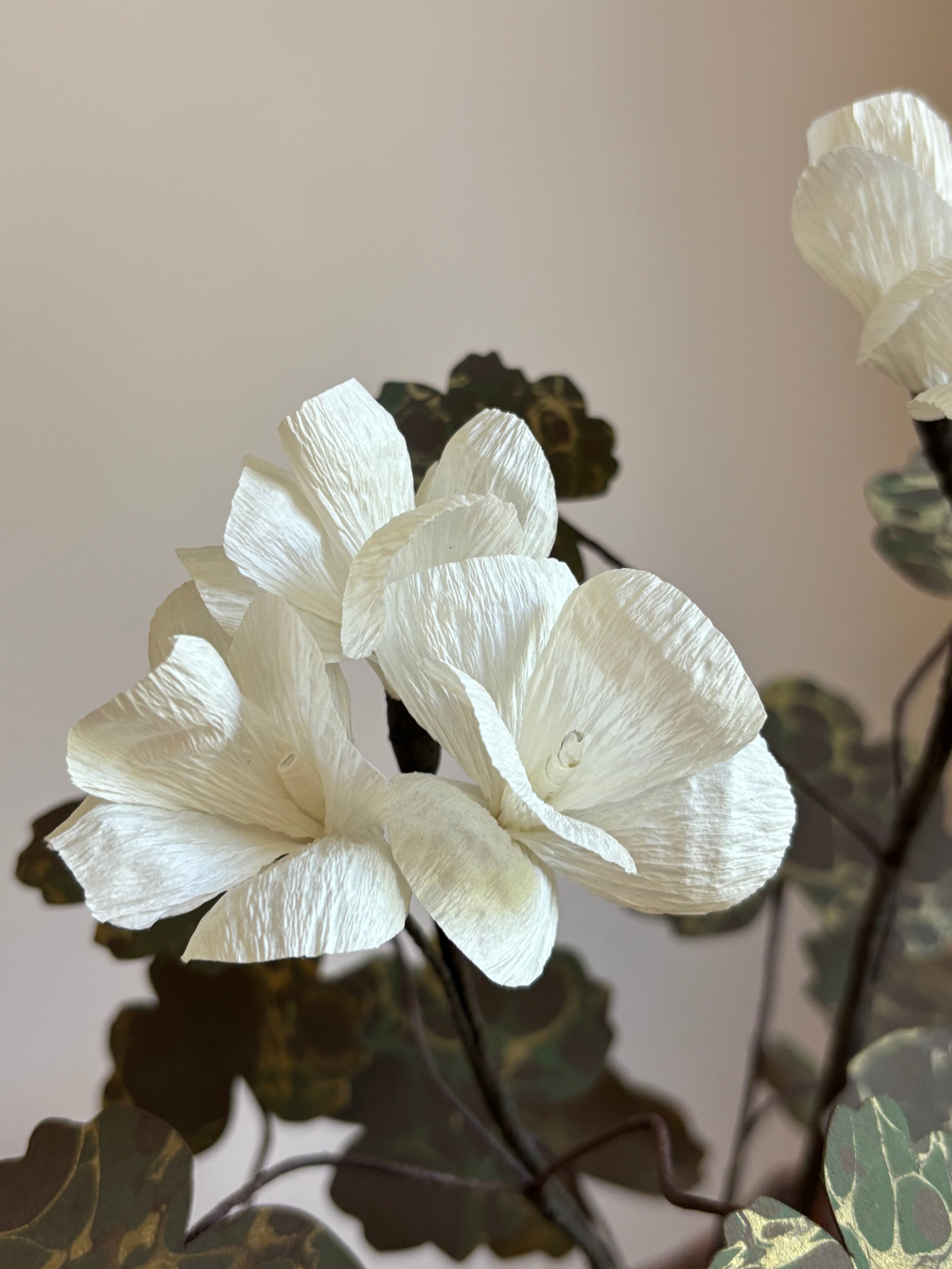 Paper Geranium
