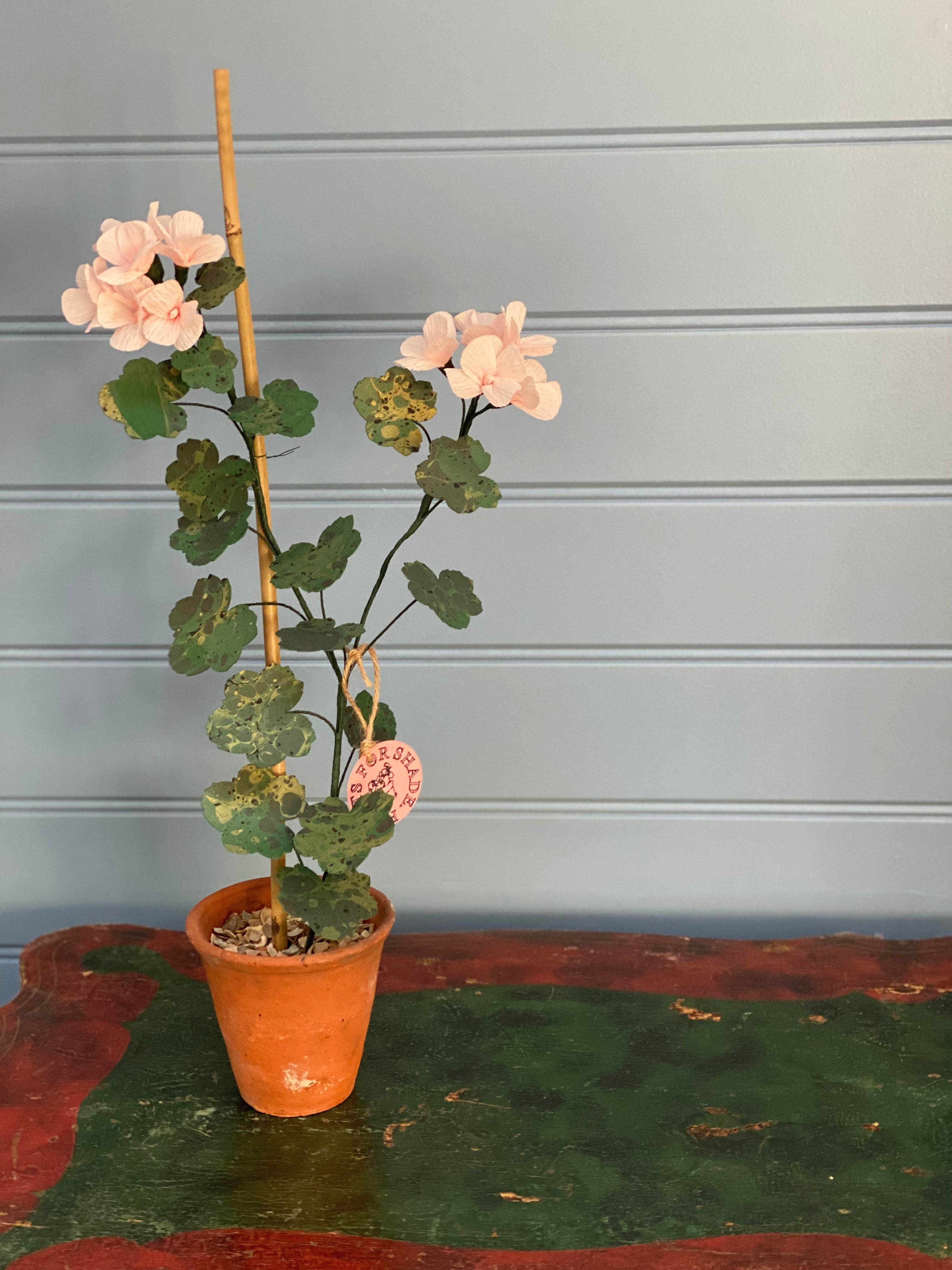 Paper Geranium