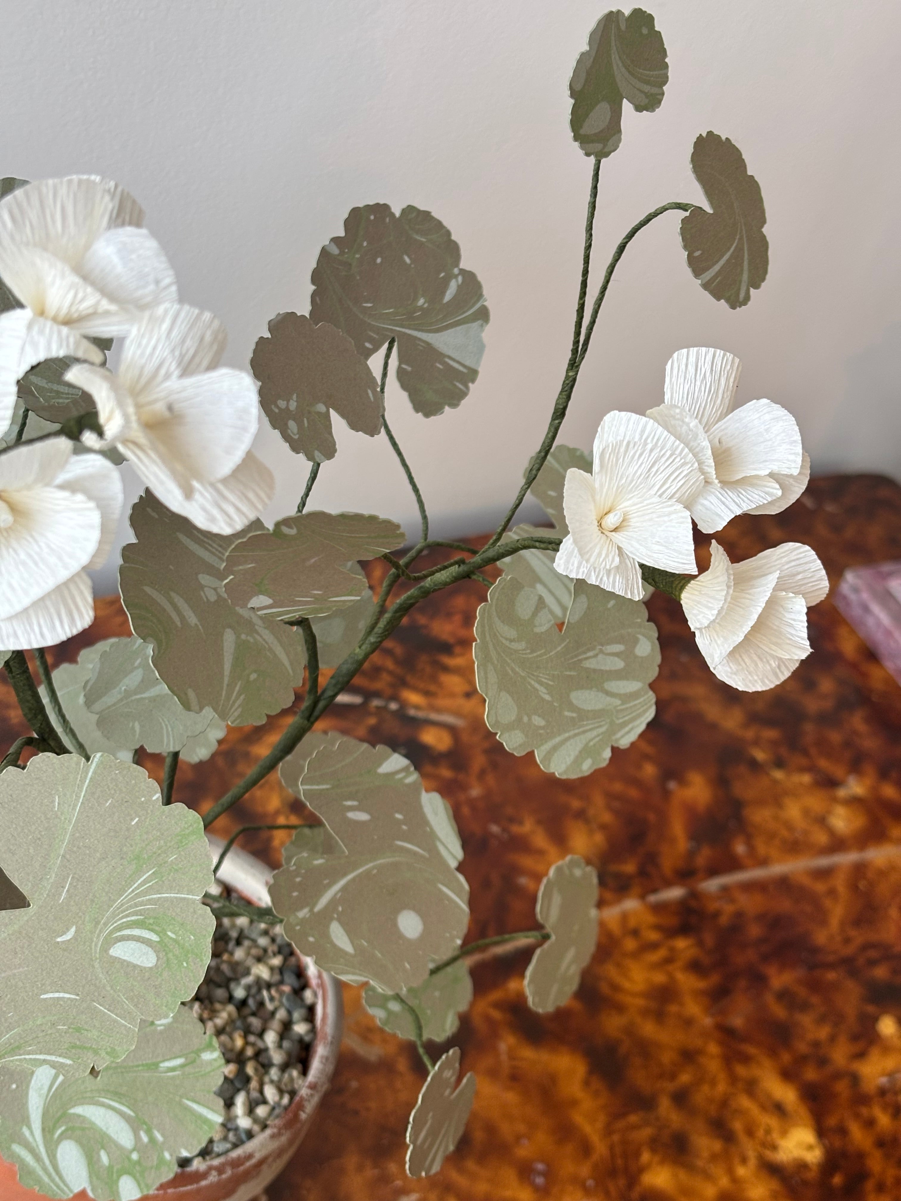Paper Geranium