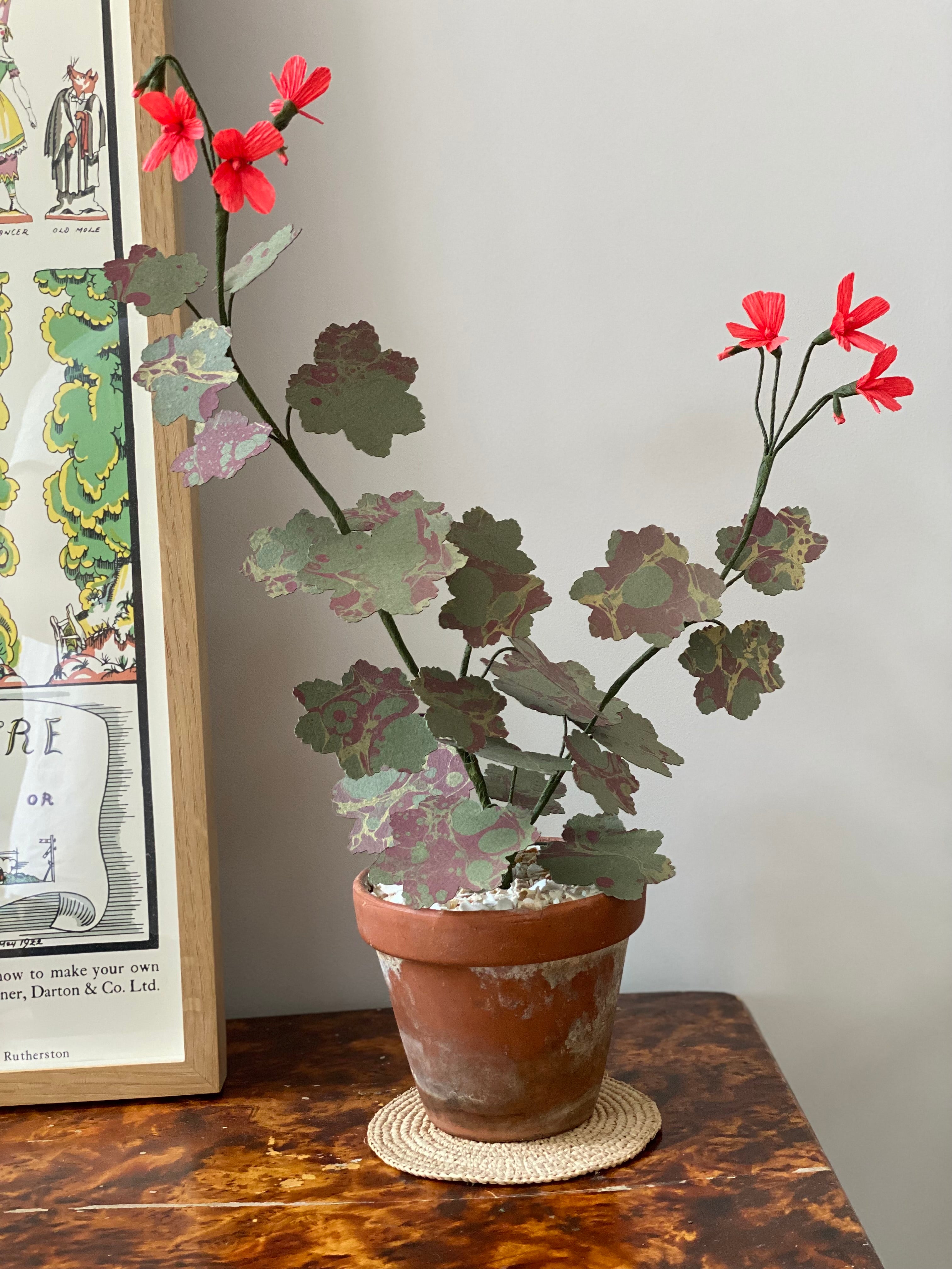 Paper Geranium
