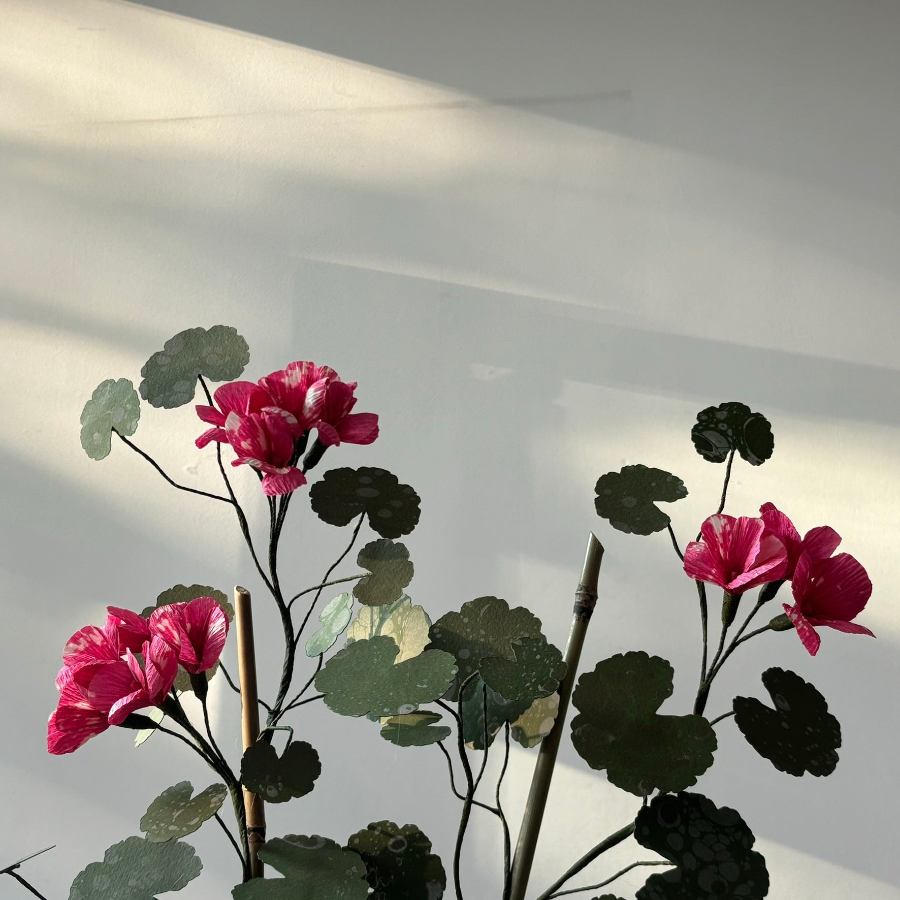 Paper Geranium