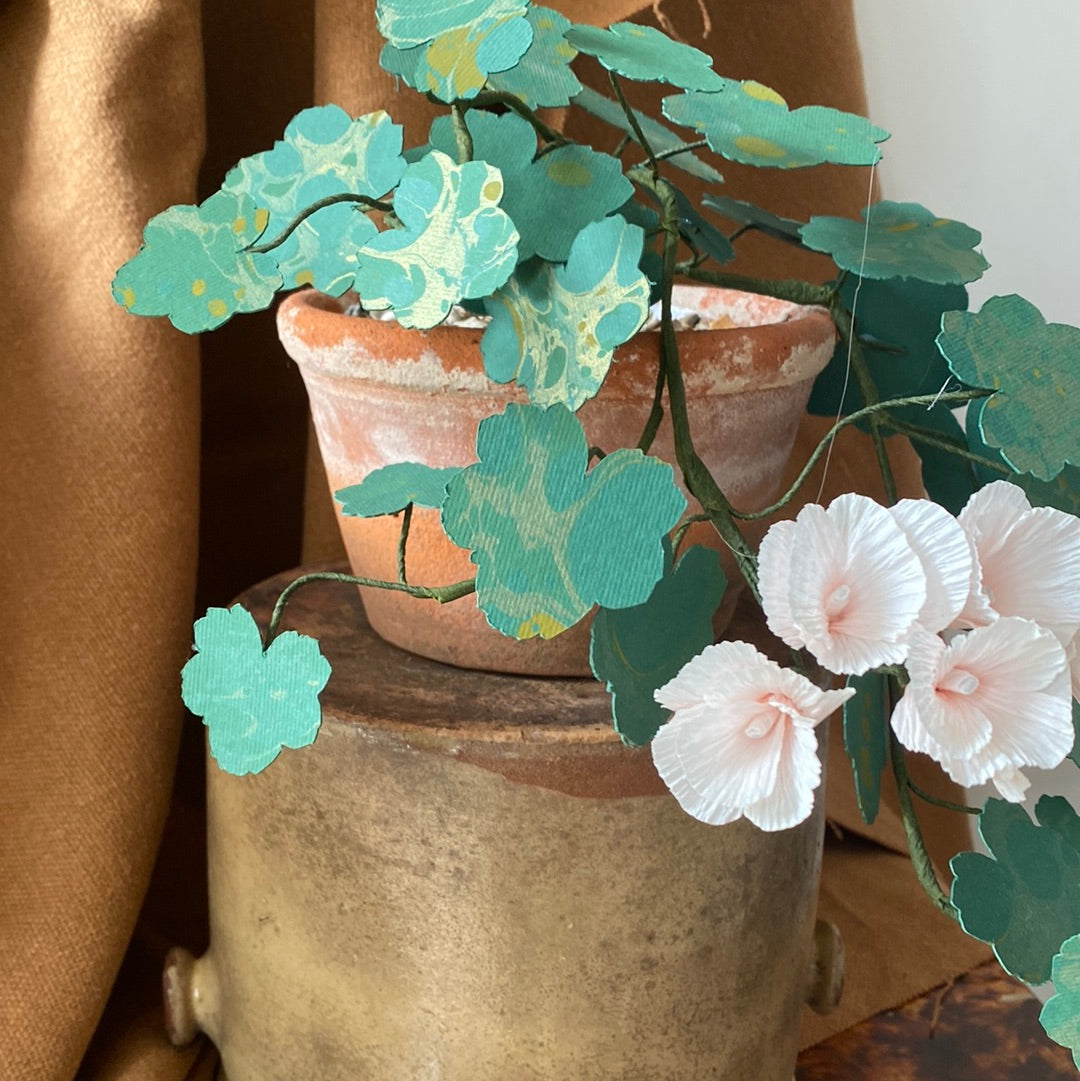 Paper tailing Geranium