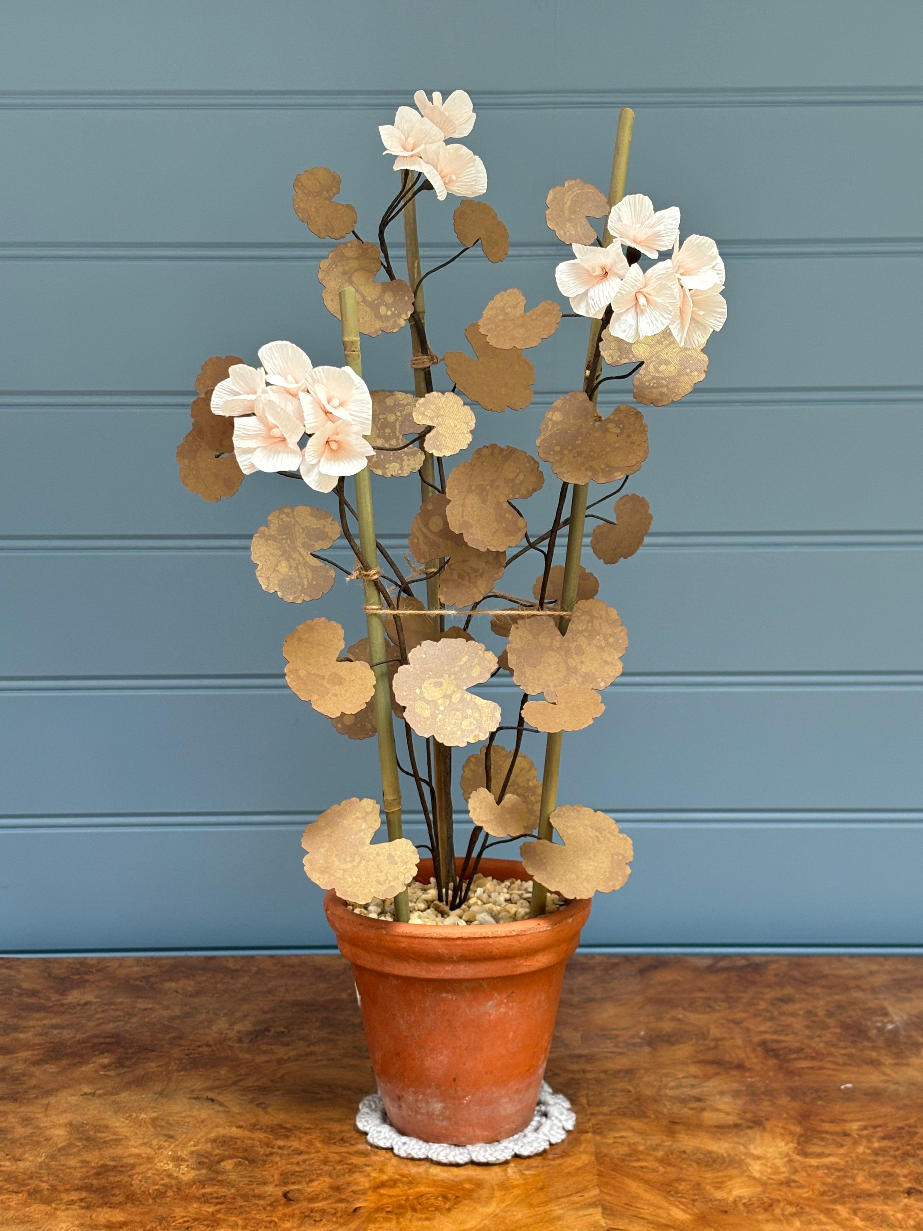 Geranium