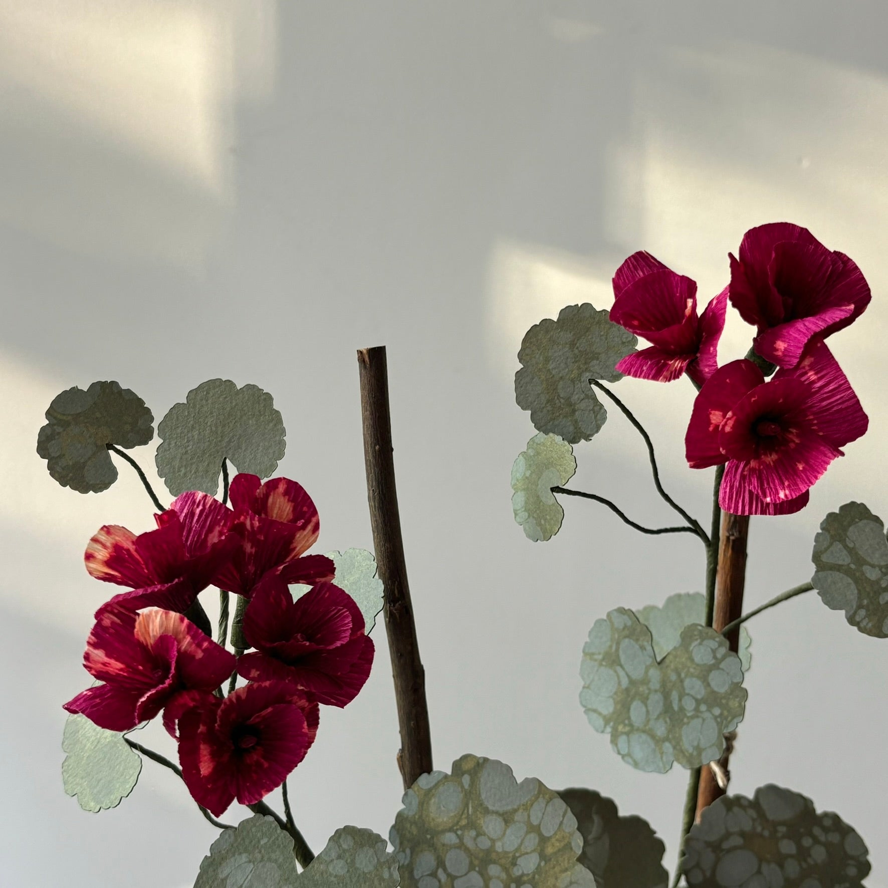 Paper Geranium