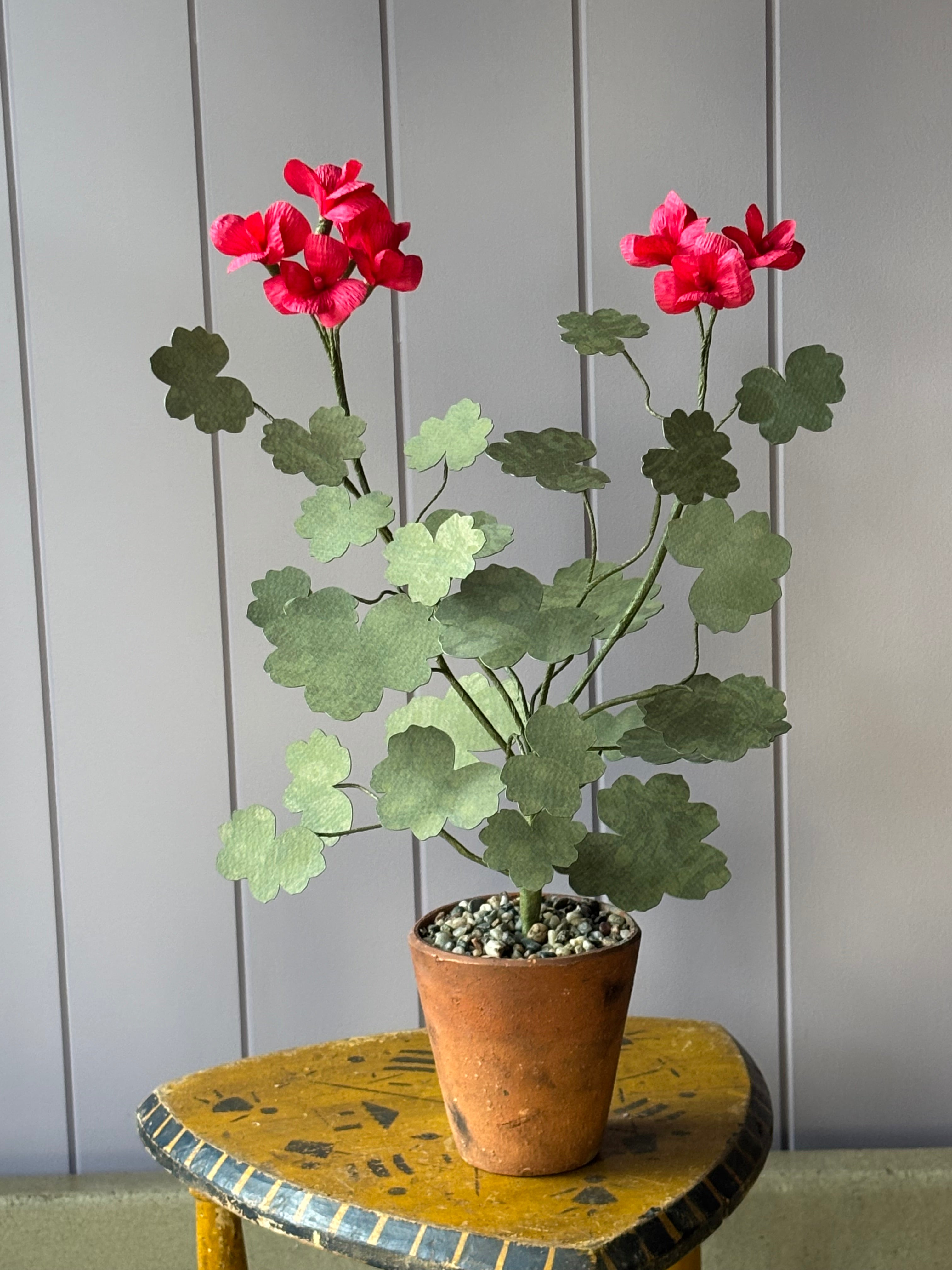 Paper Geranium