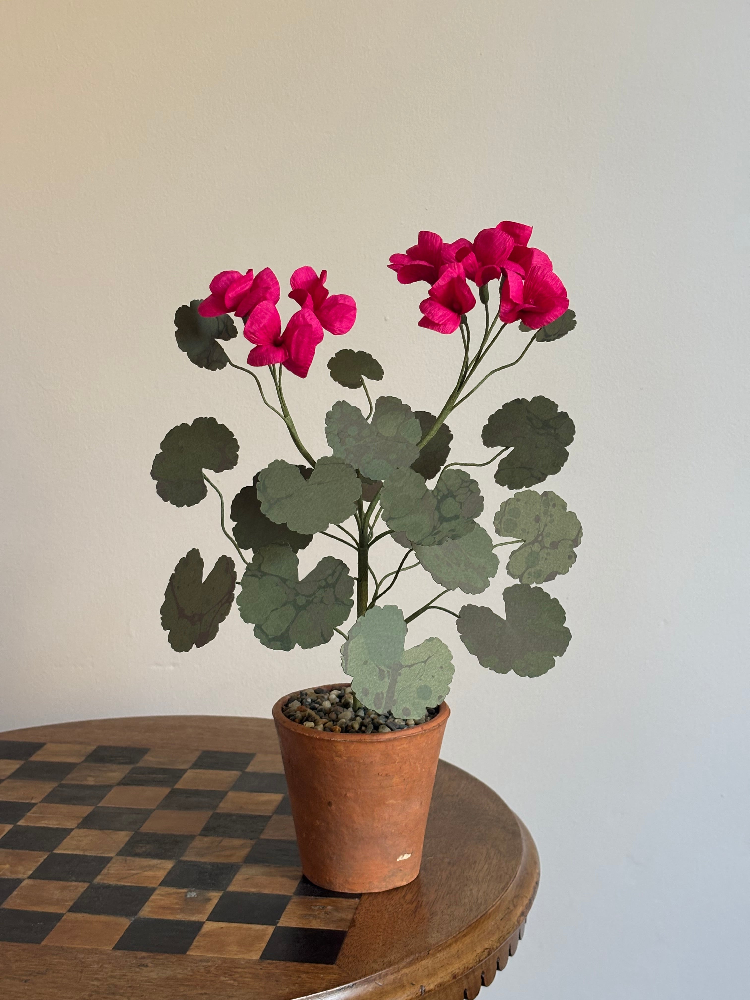 Paper Geranium