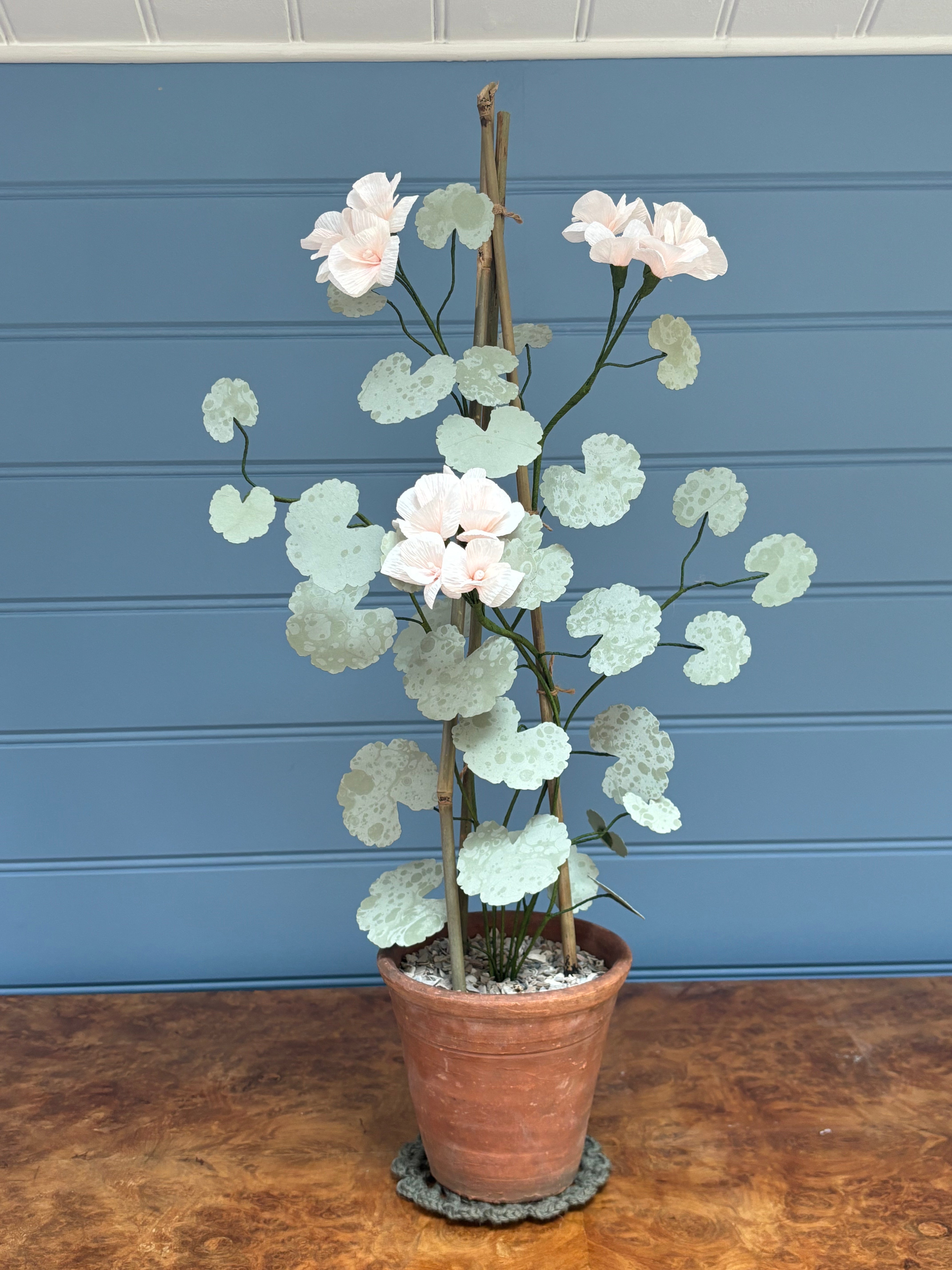 Geranium