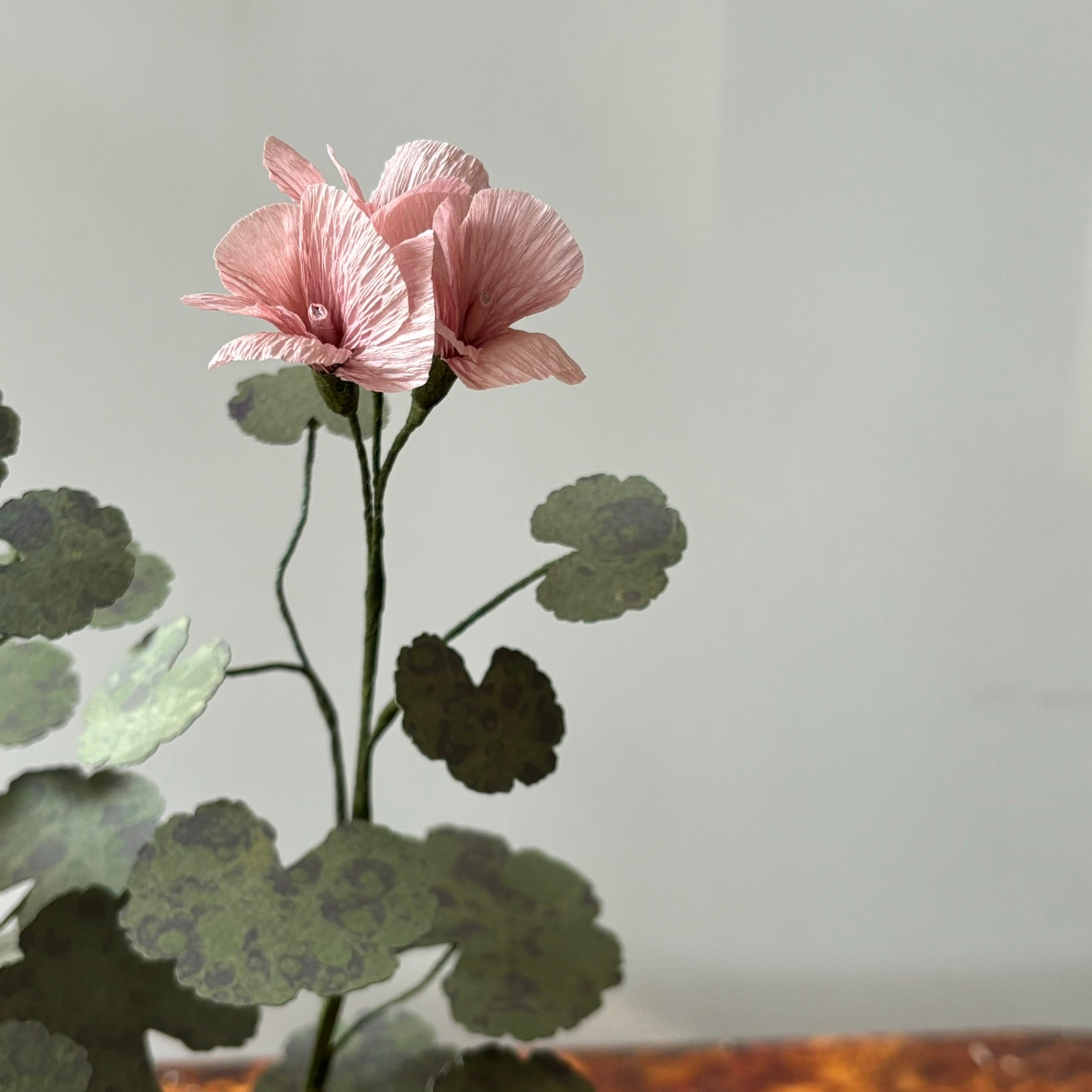 Paper Geranium