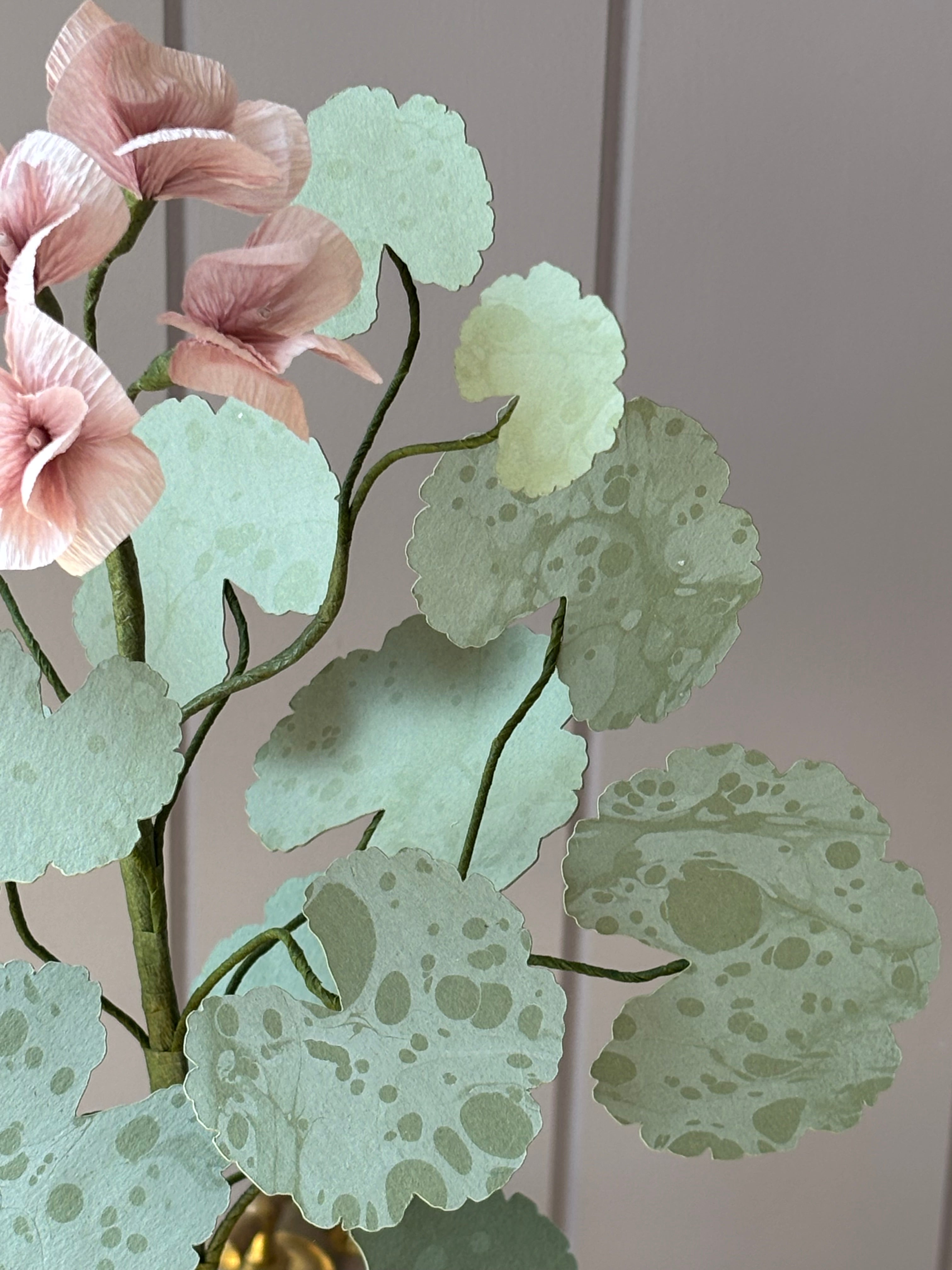 Paper Geranium