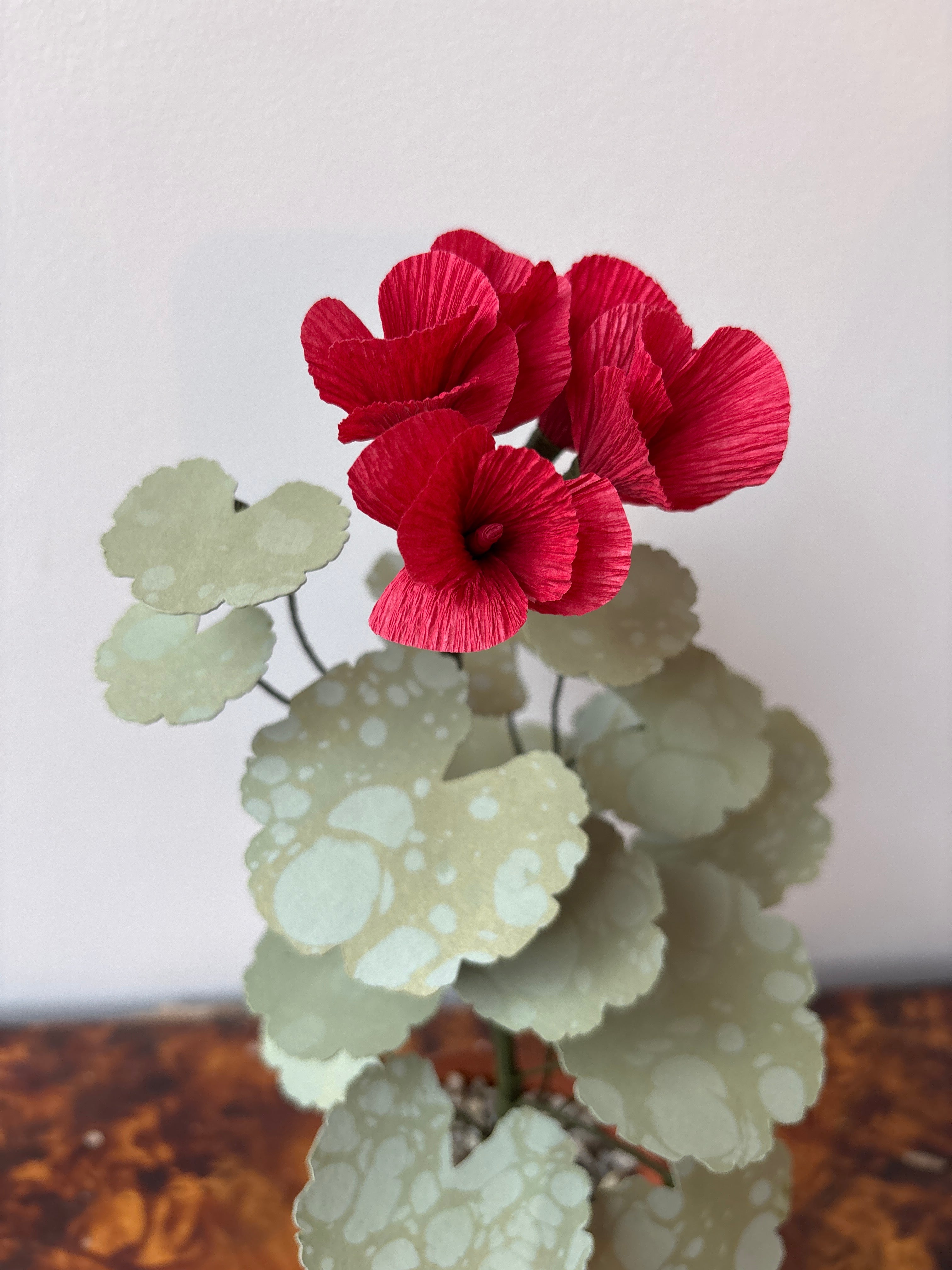 Paper Geranium
