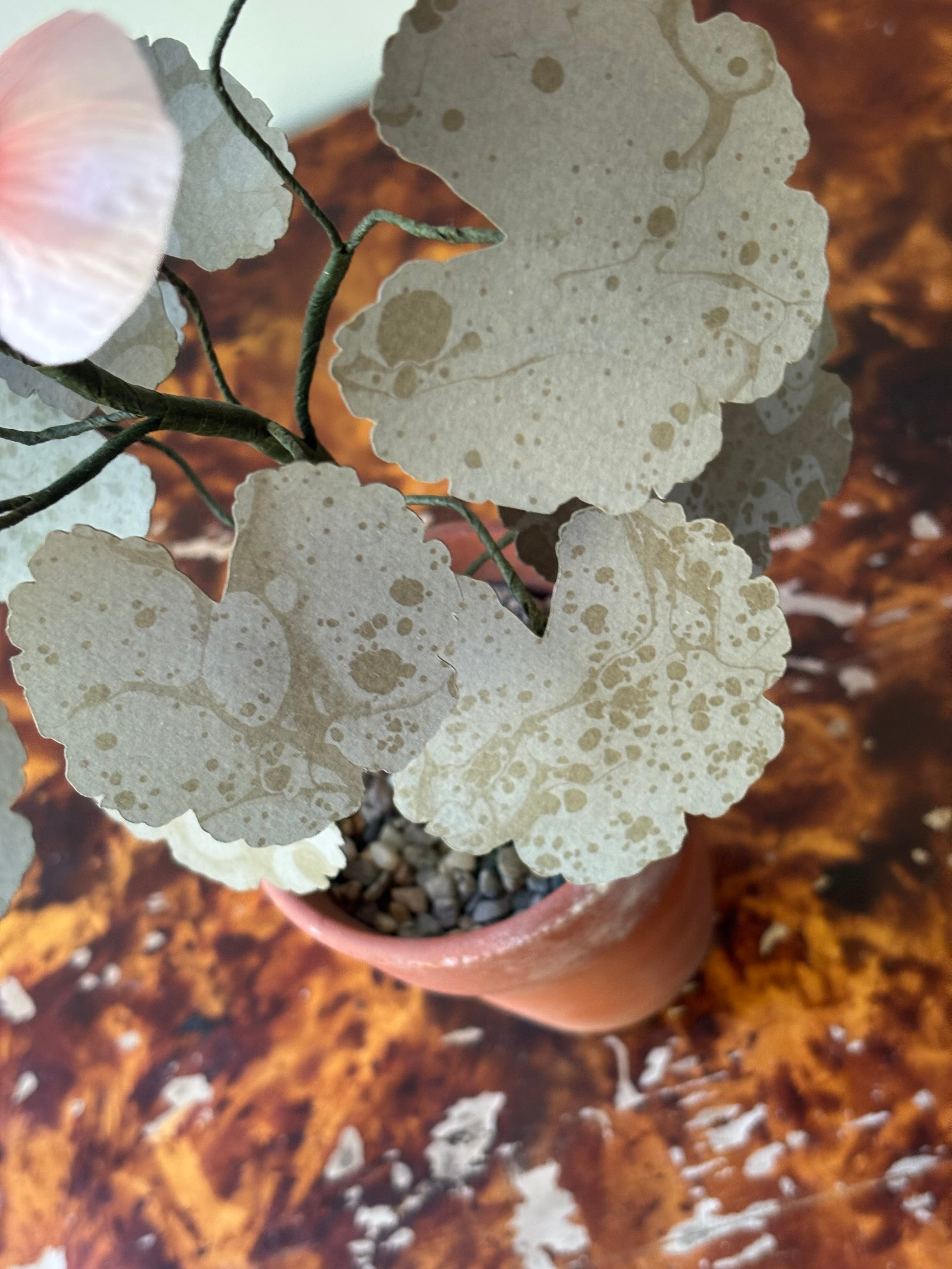 Paper Geranium