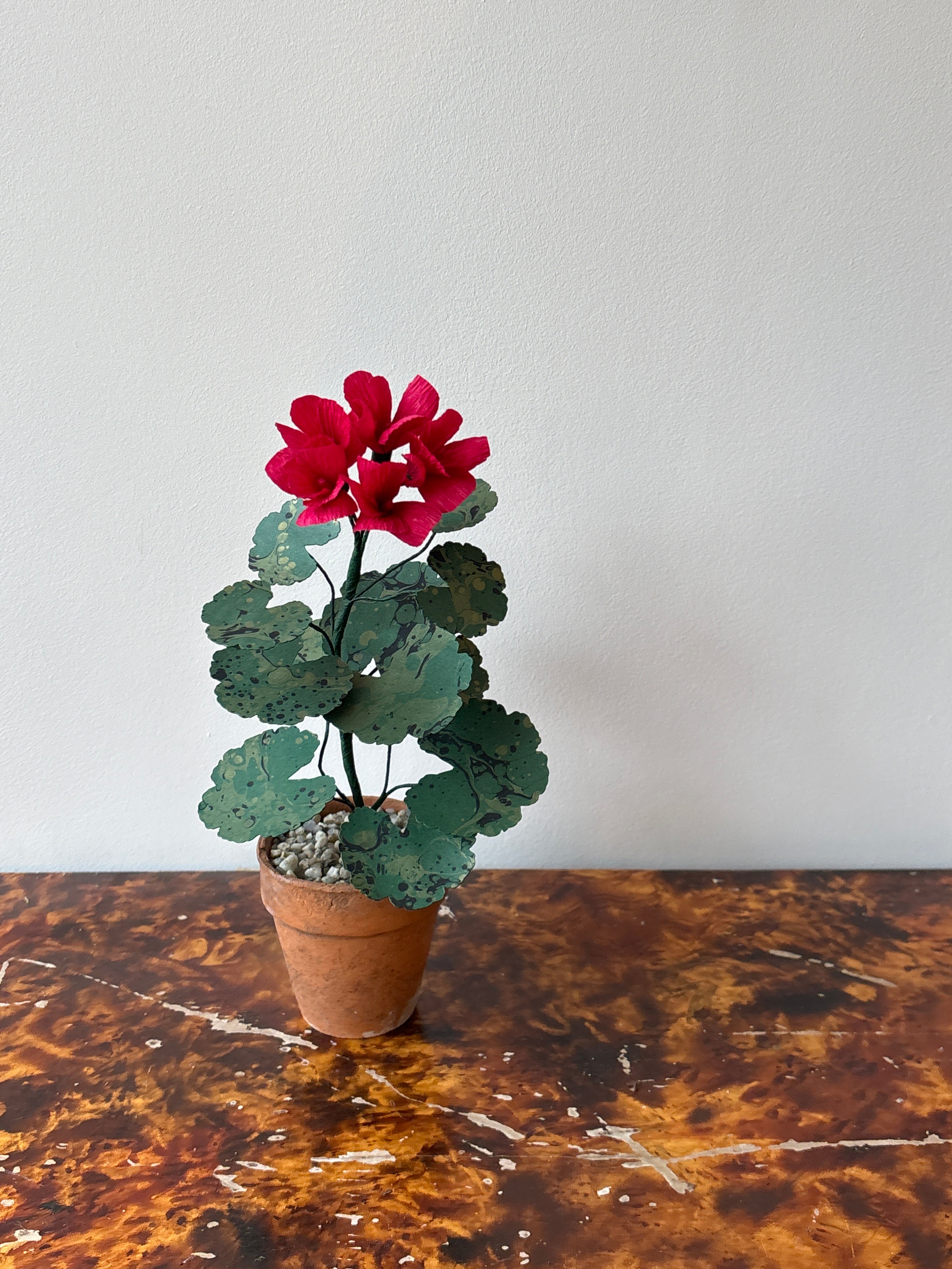 Paper Geranium