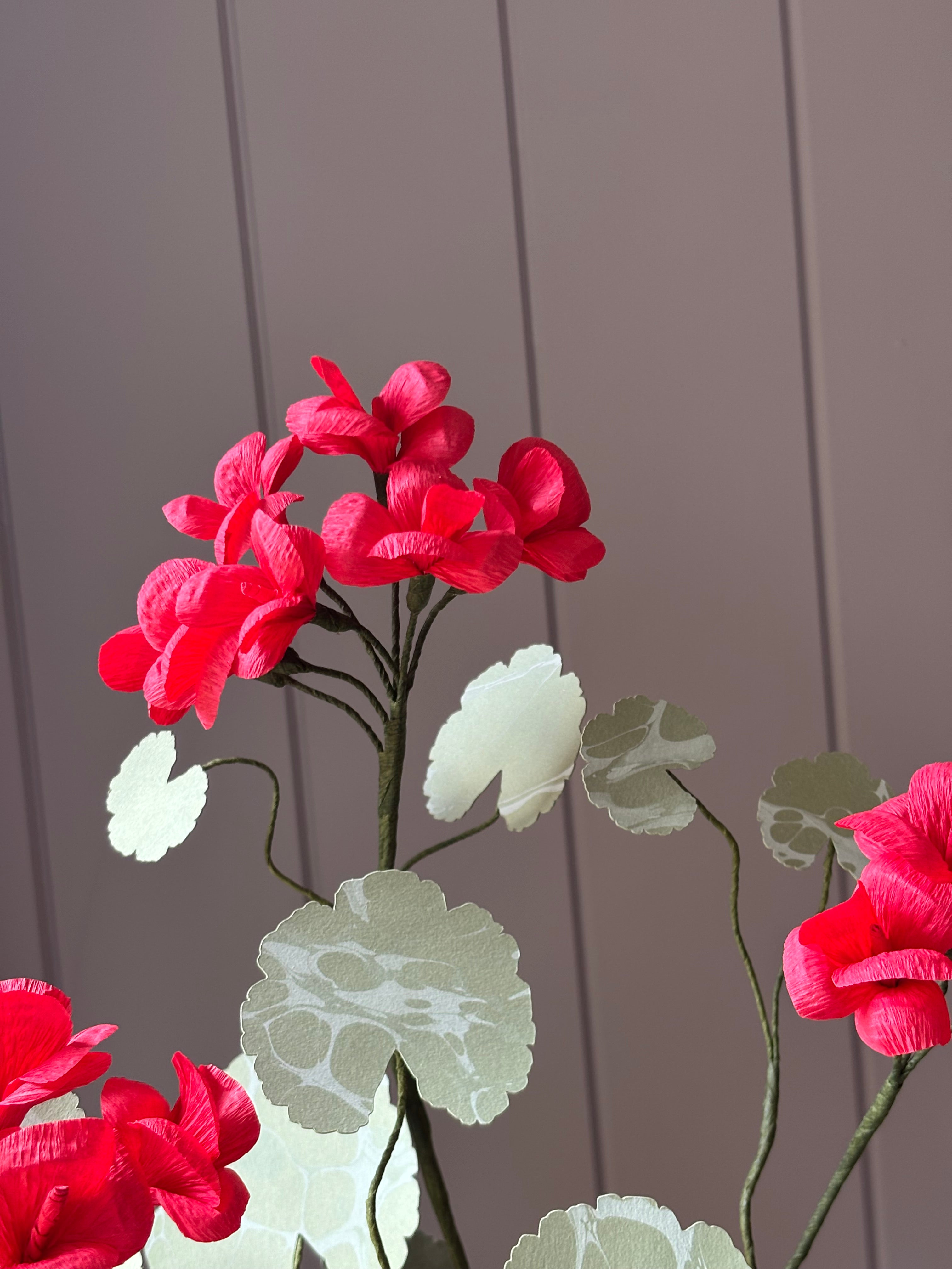 Paper geranium