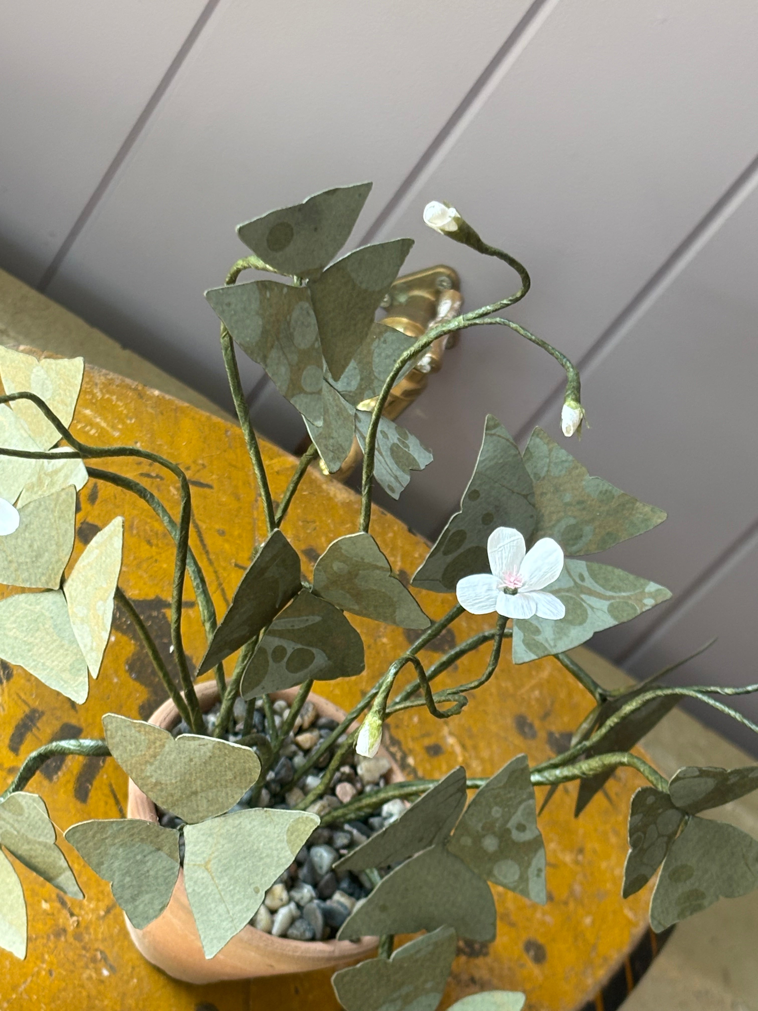 Paper Shamrock