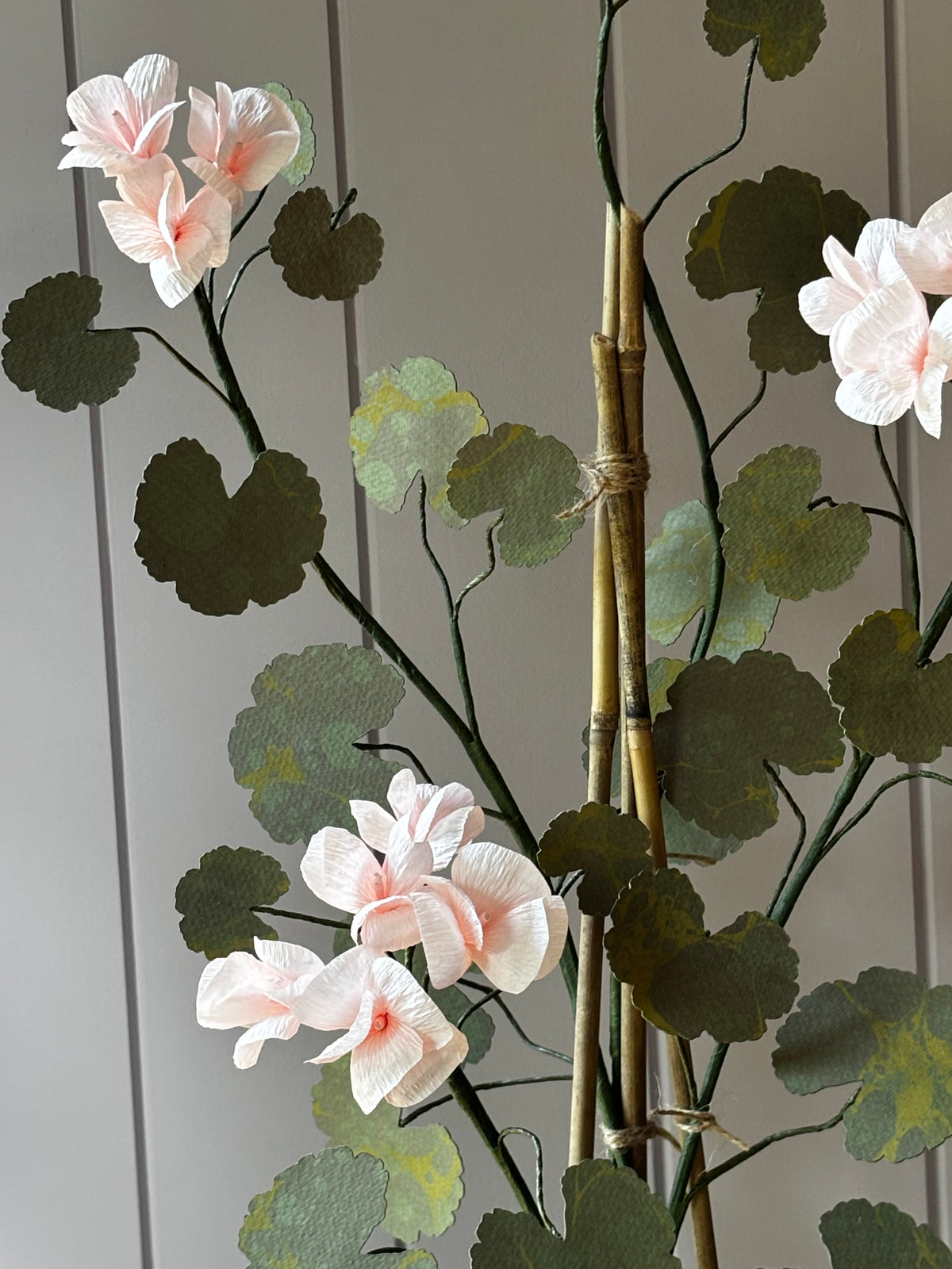 Paper geranium