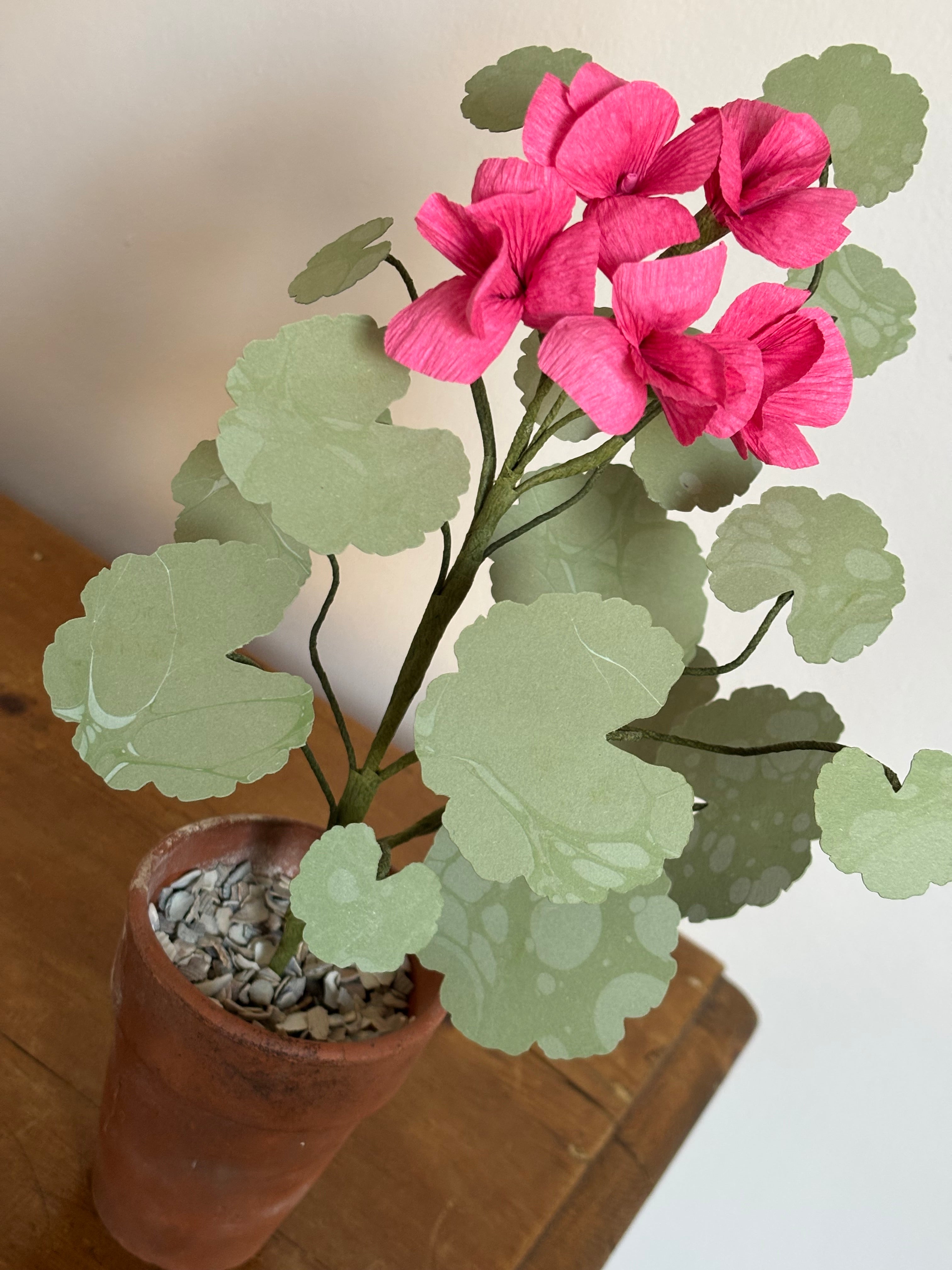 Paper Geranium