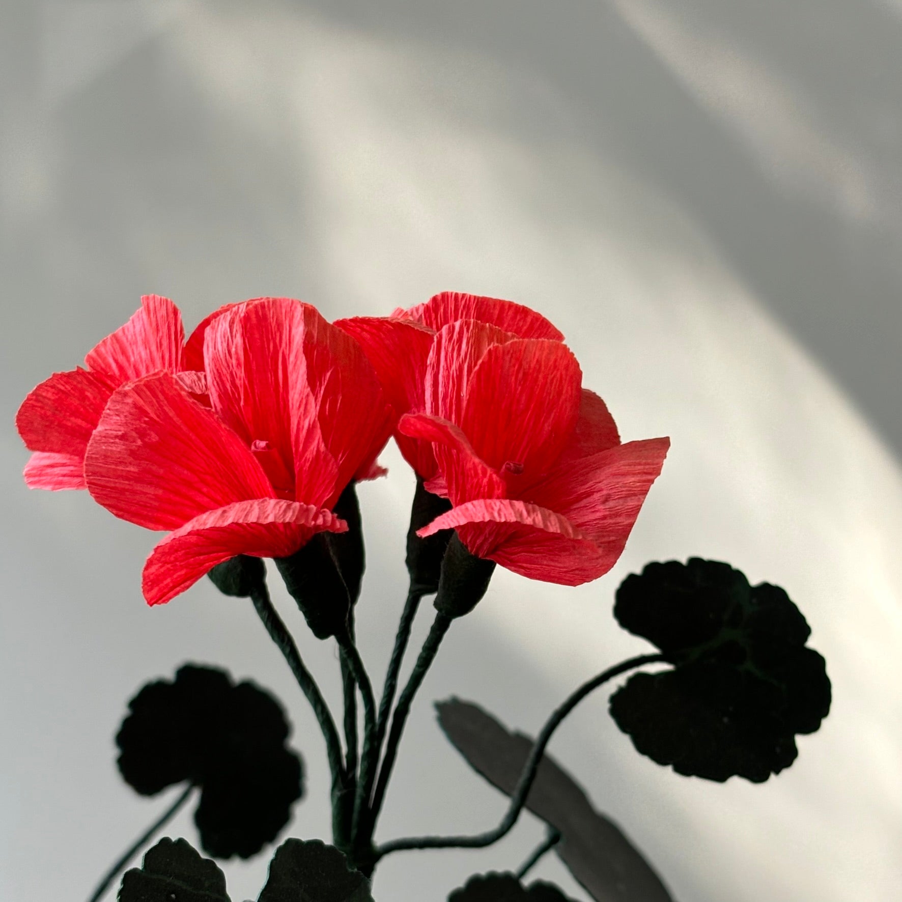 Paper Geranium