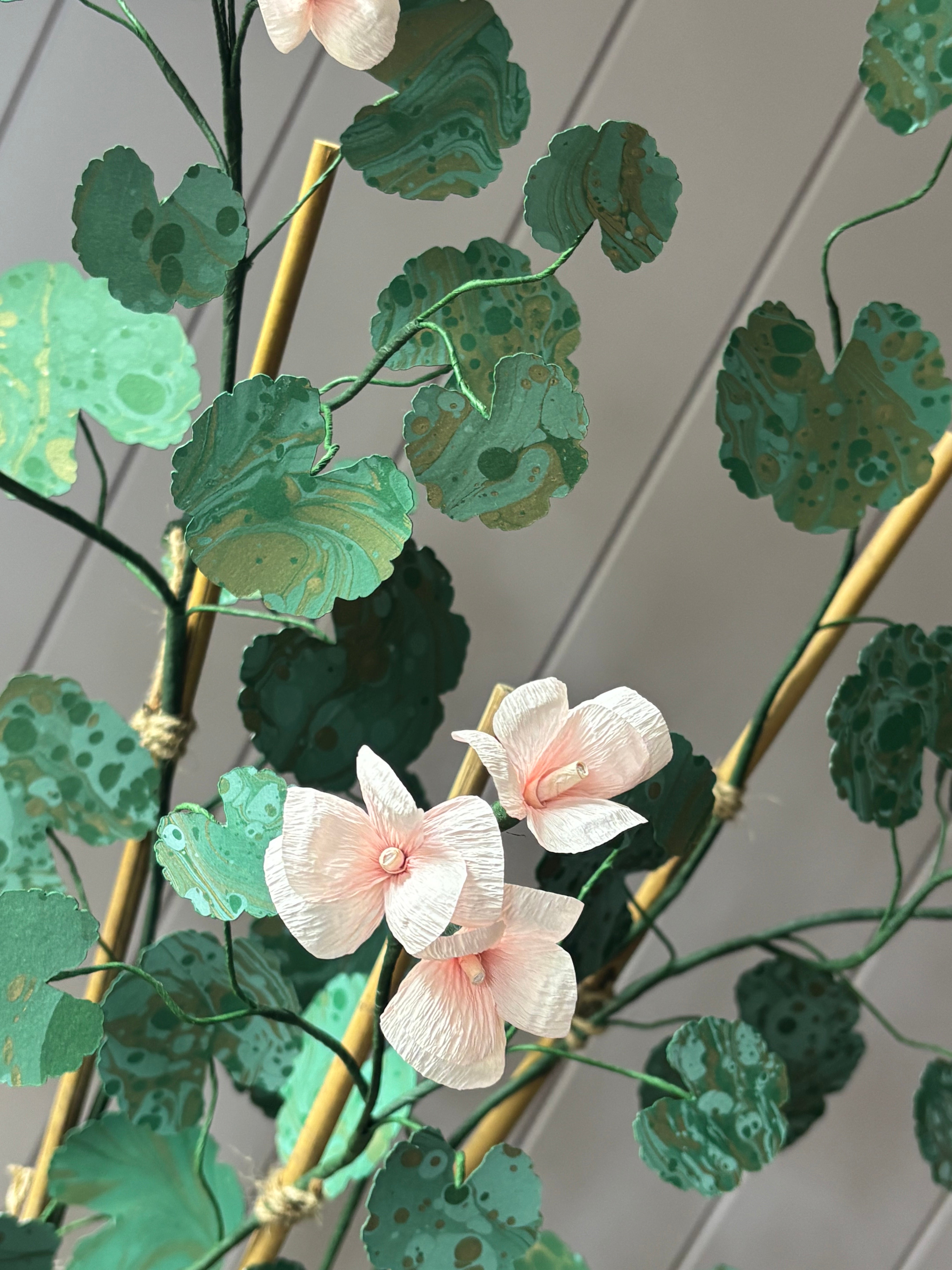 Paper geranium