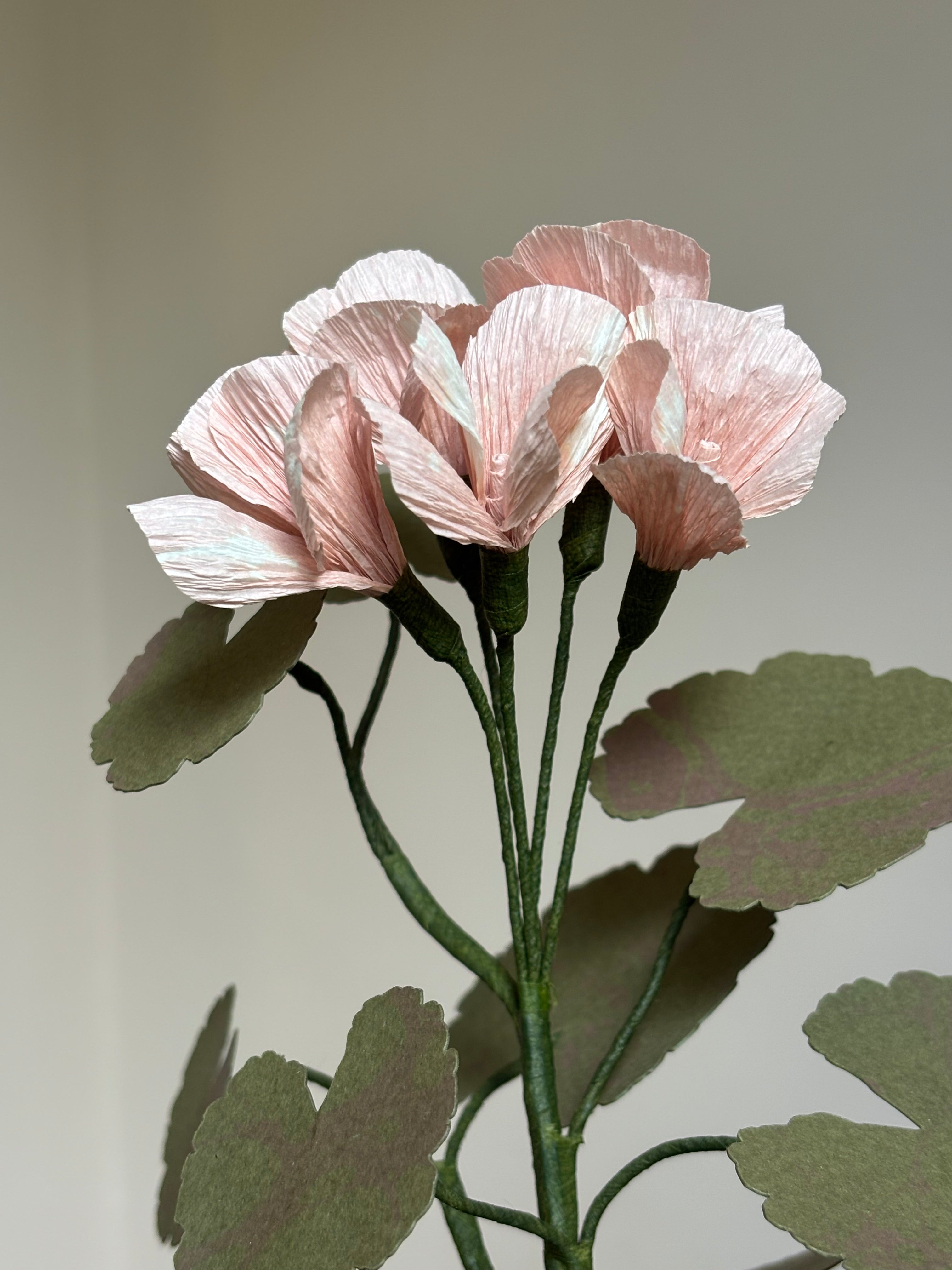 Paper Geranium
