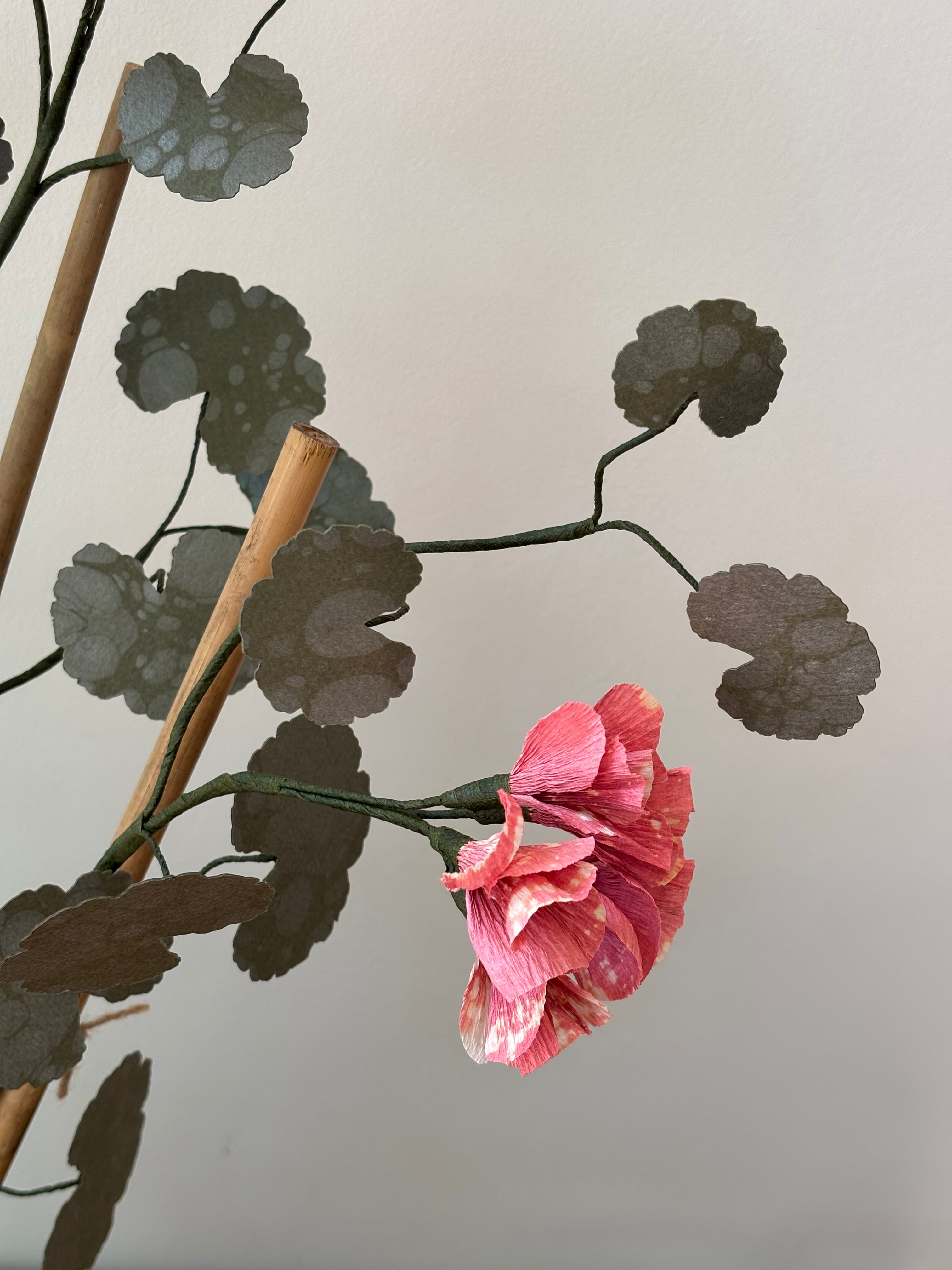 Paper Geranium