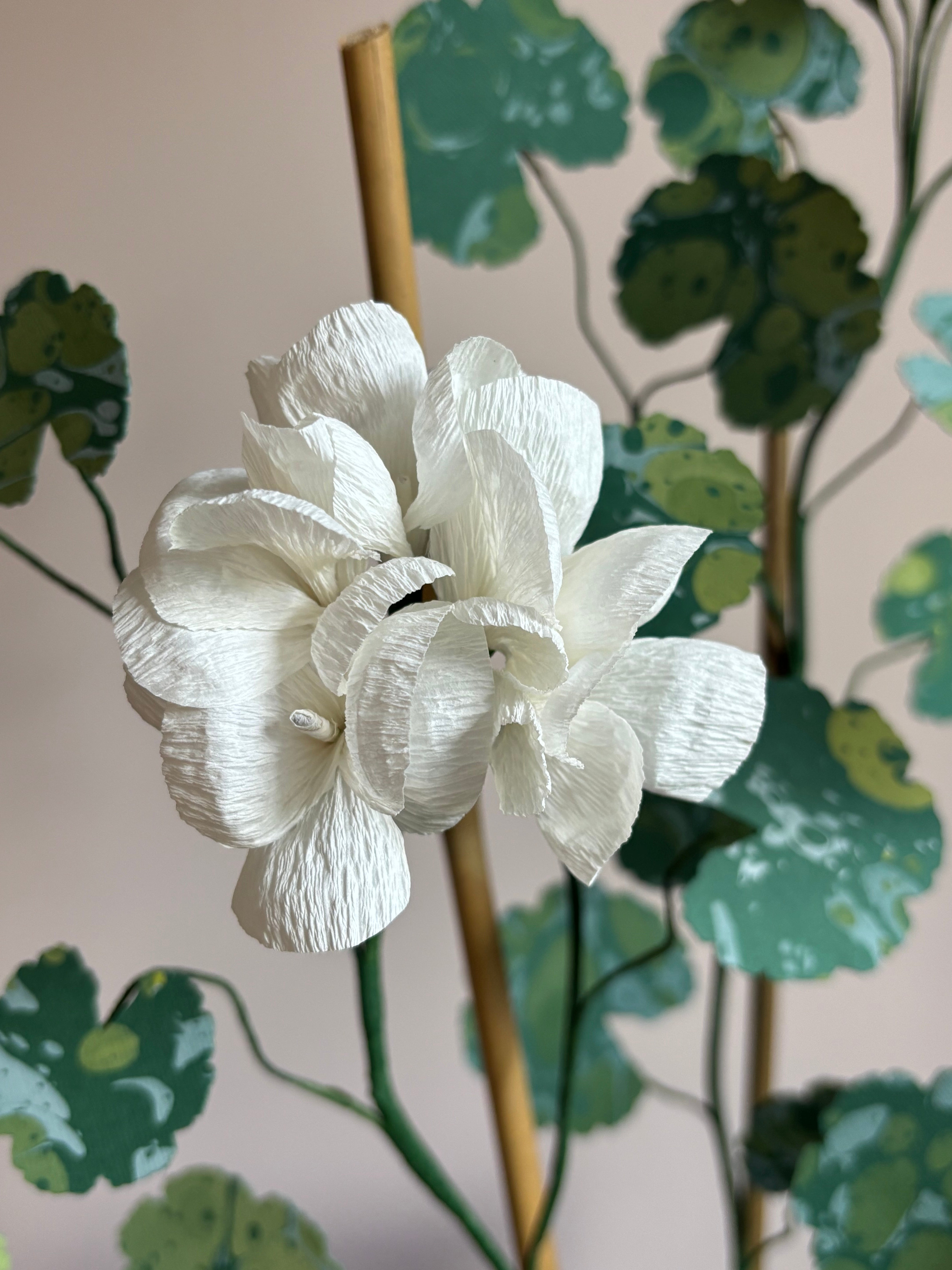 Paper Geranium