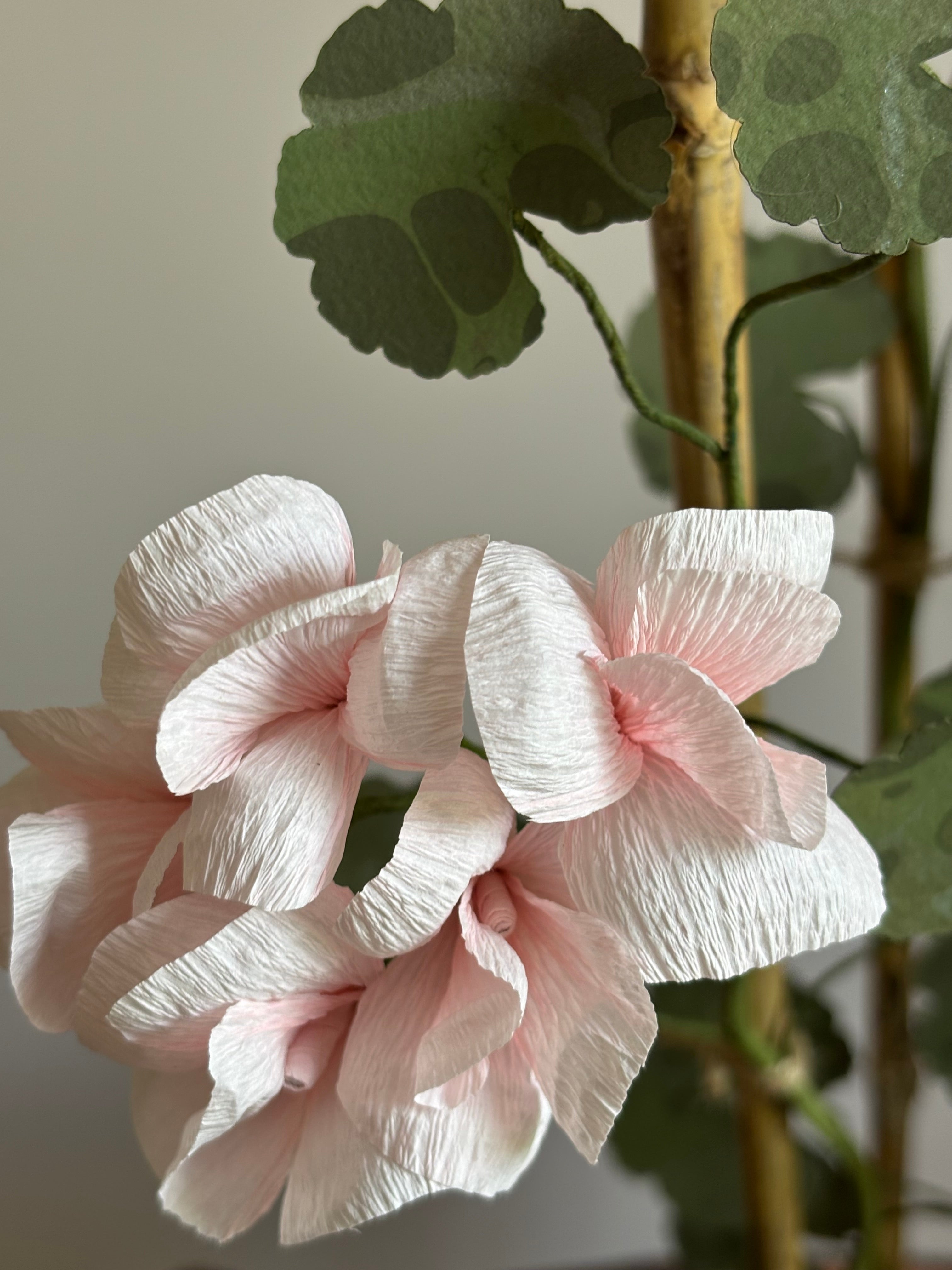 Paper Geranium