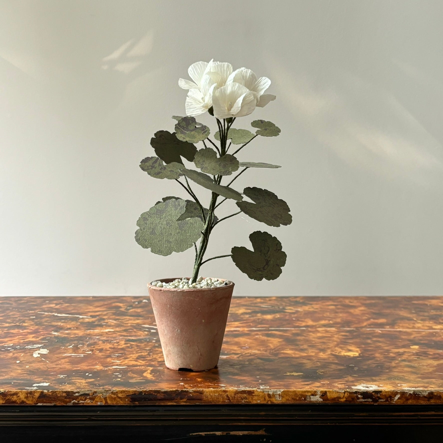 Paper Geranium